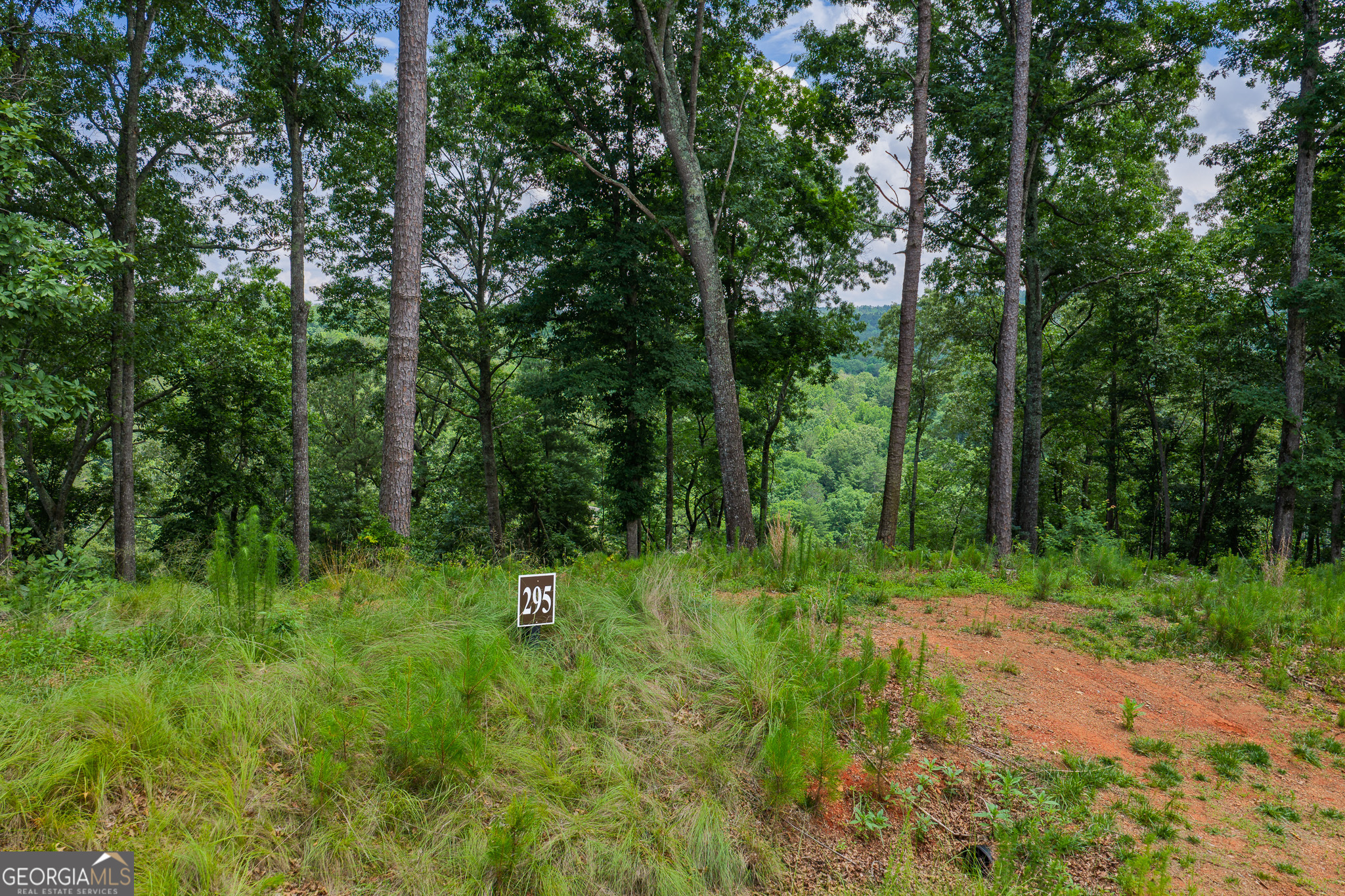 Lot 295a Pebble Trace Property Photo 5