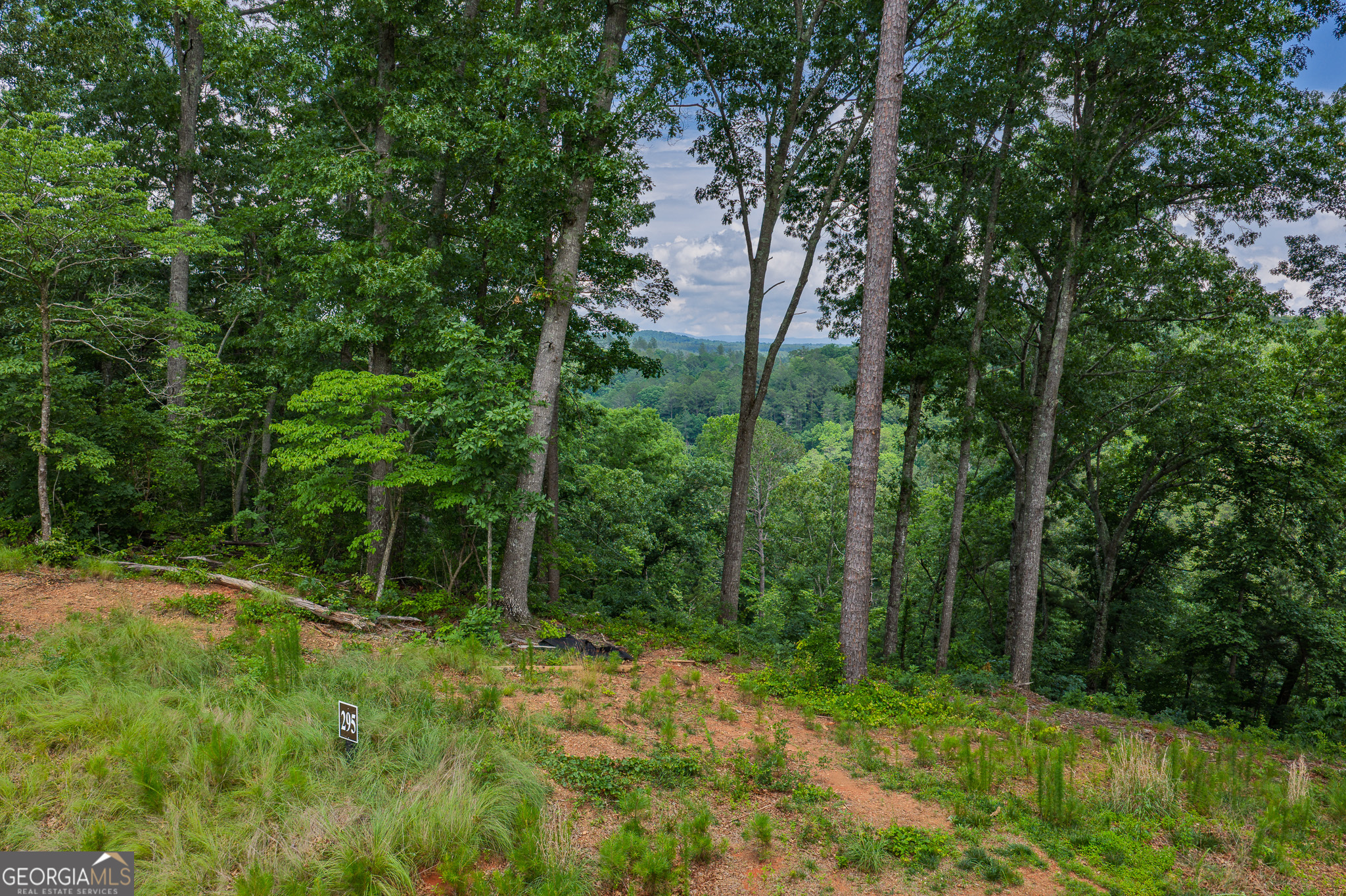 Lot 295a Pebble Trace Property Photo 6