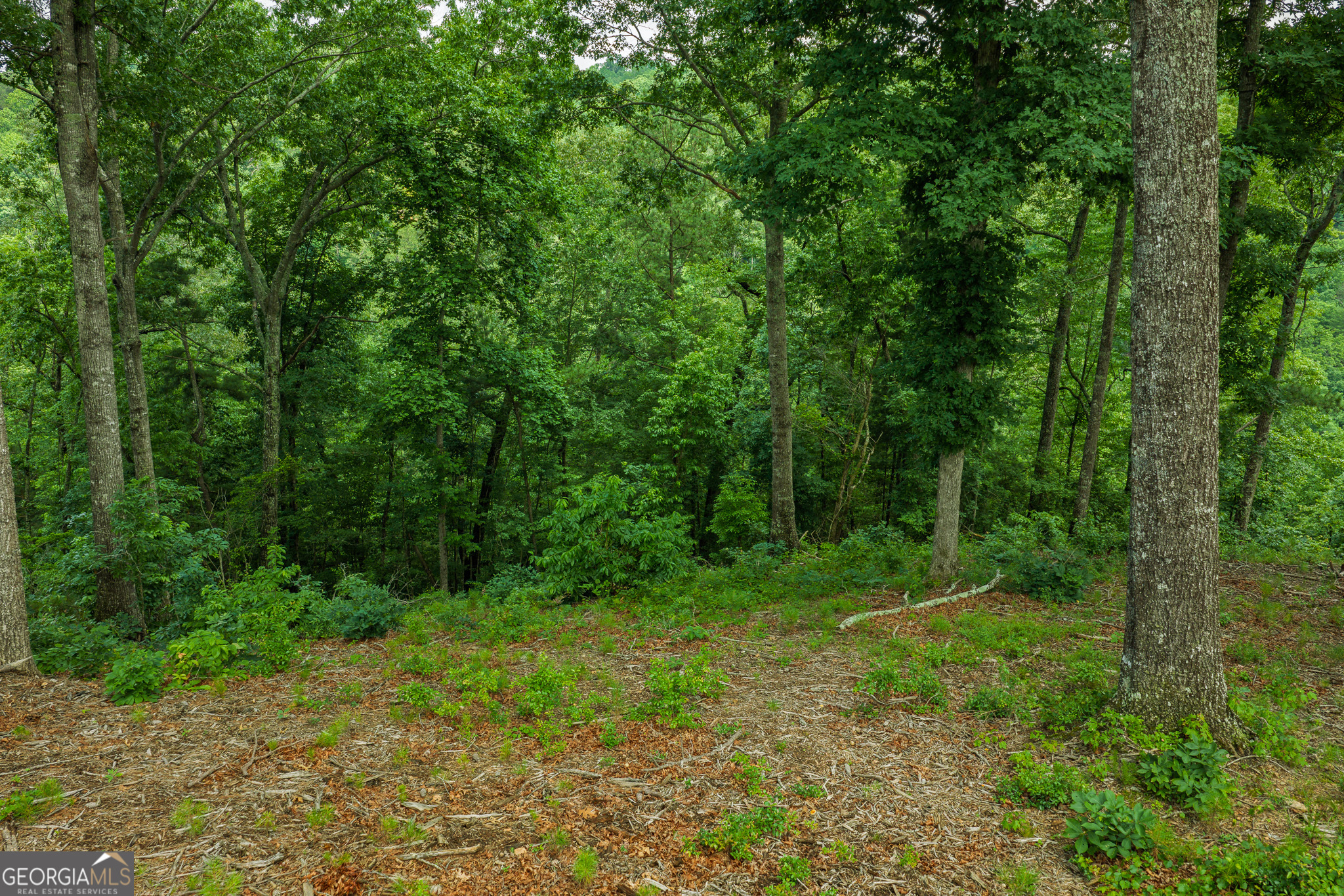 Lot 295a Pebble Trace Property Photo 7