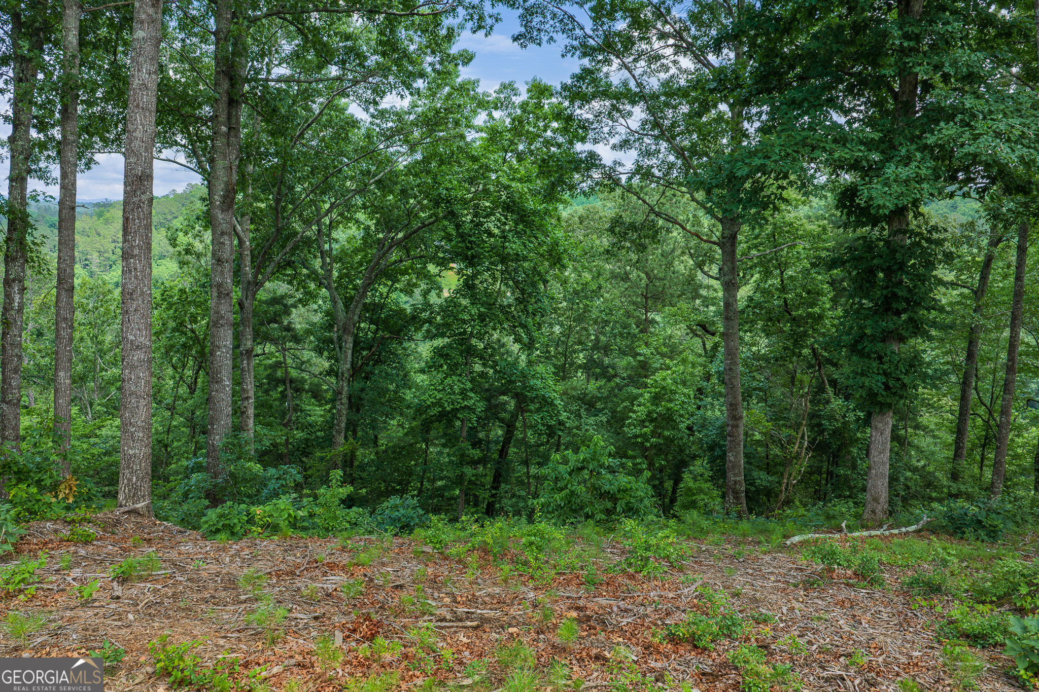 Lot 295a Pebble Trace Property Photo 8