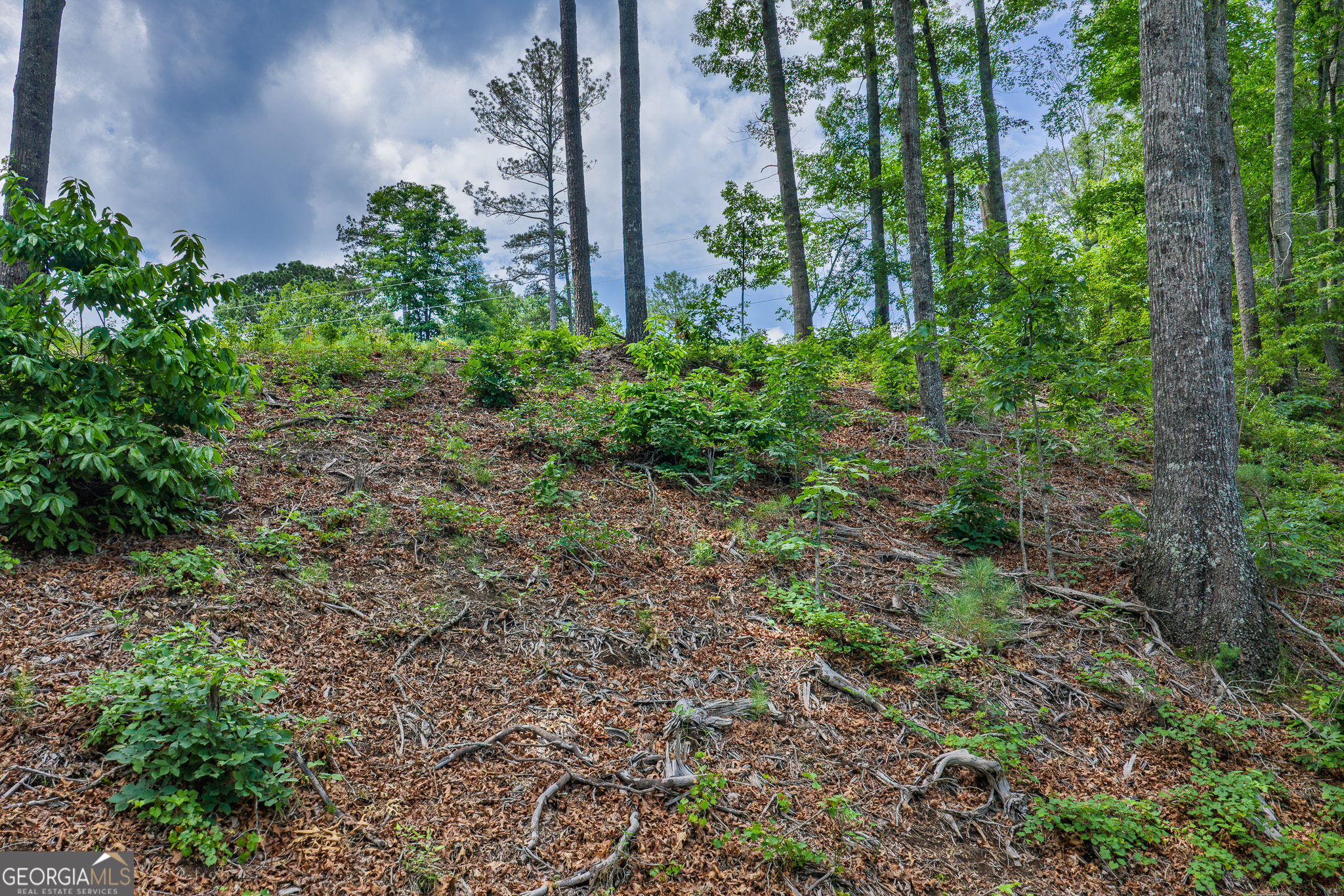 Lot 295a Pebble Trace Property Photo 9
