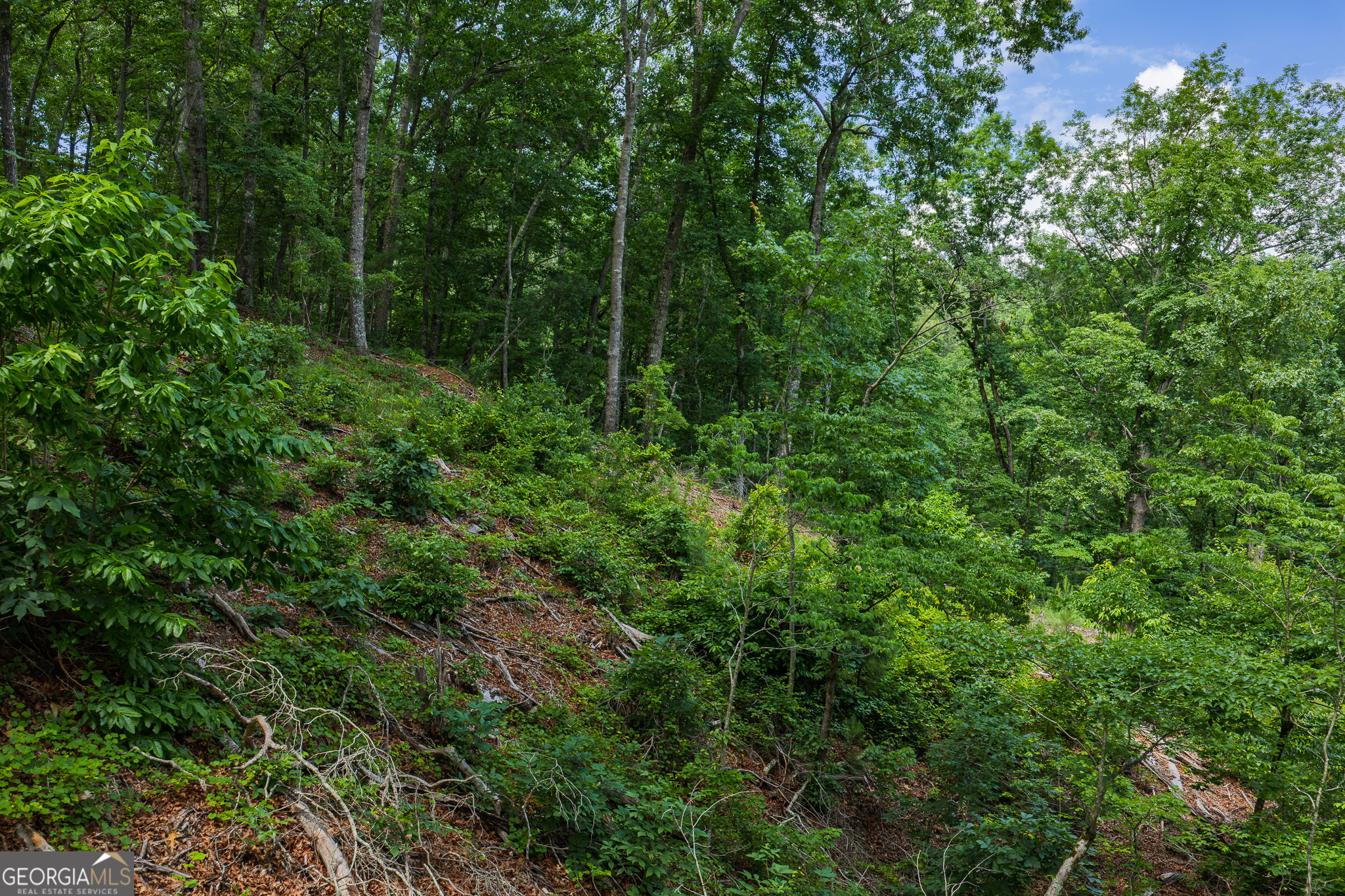 Lot 295a Pebble Trace Property Photo 10