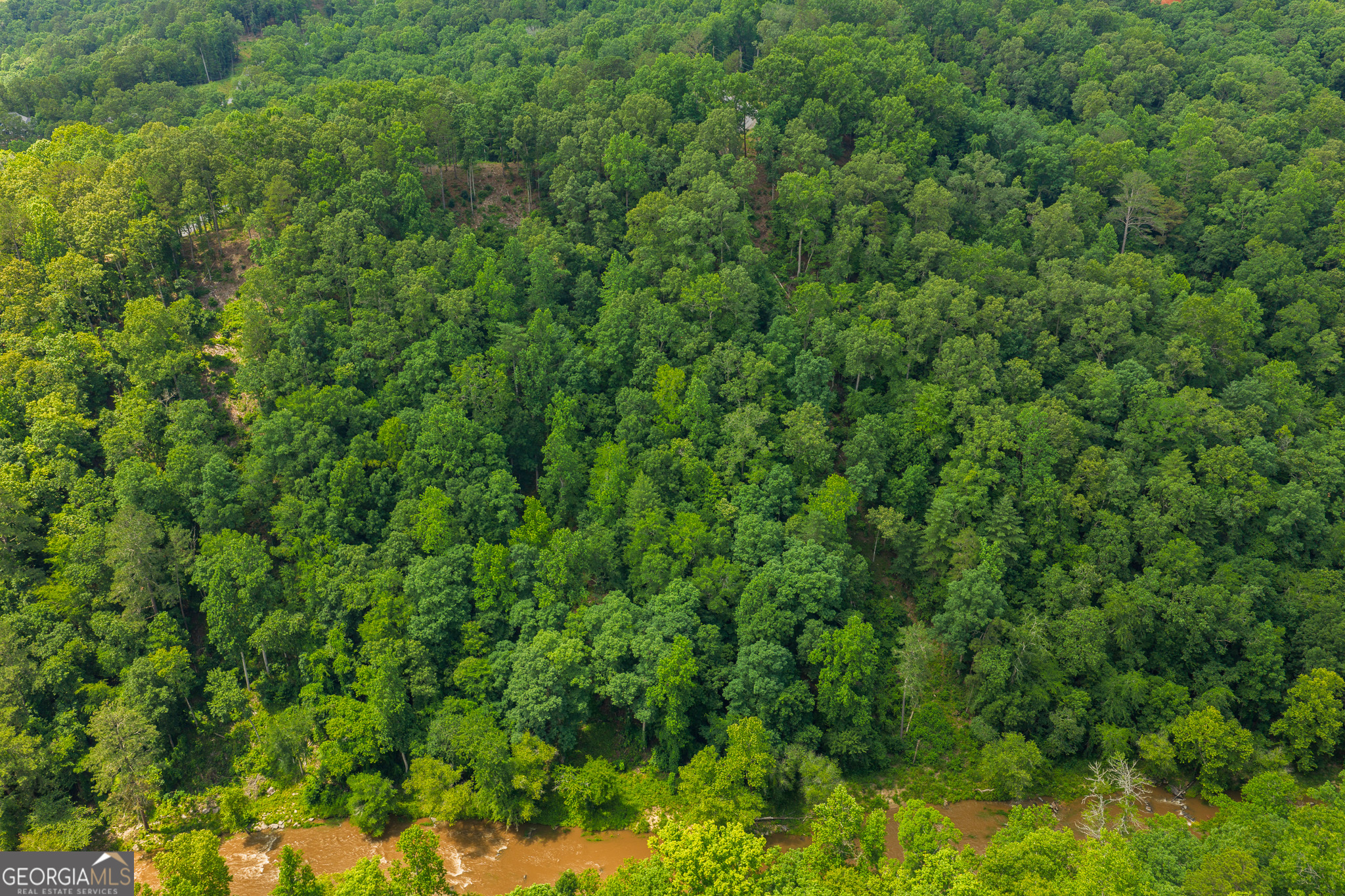 Lot 295a Pebble Trace Property Photo 12
