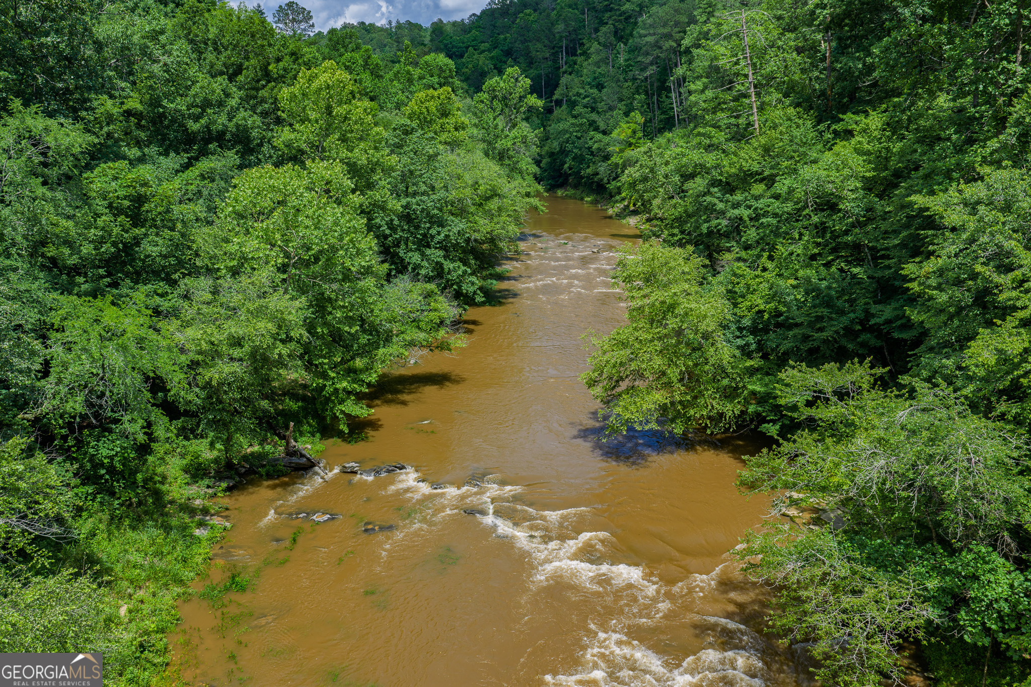 Lot 295a Pebble Trace Property Photo 13