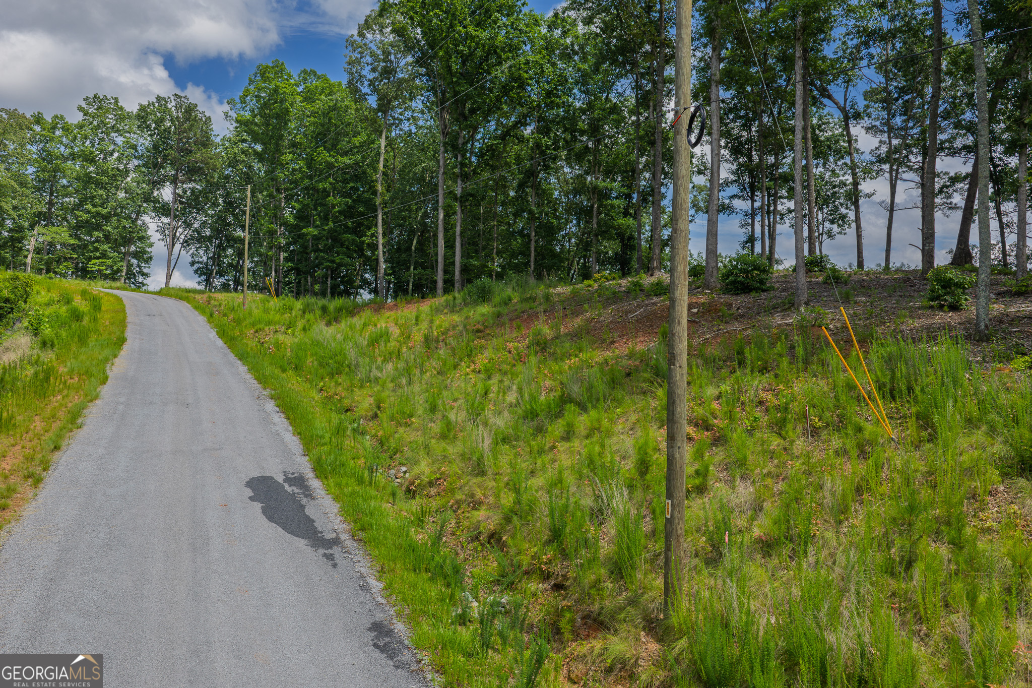 LOT 296 Pebble Trace Property Photo 1