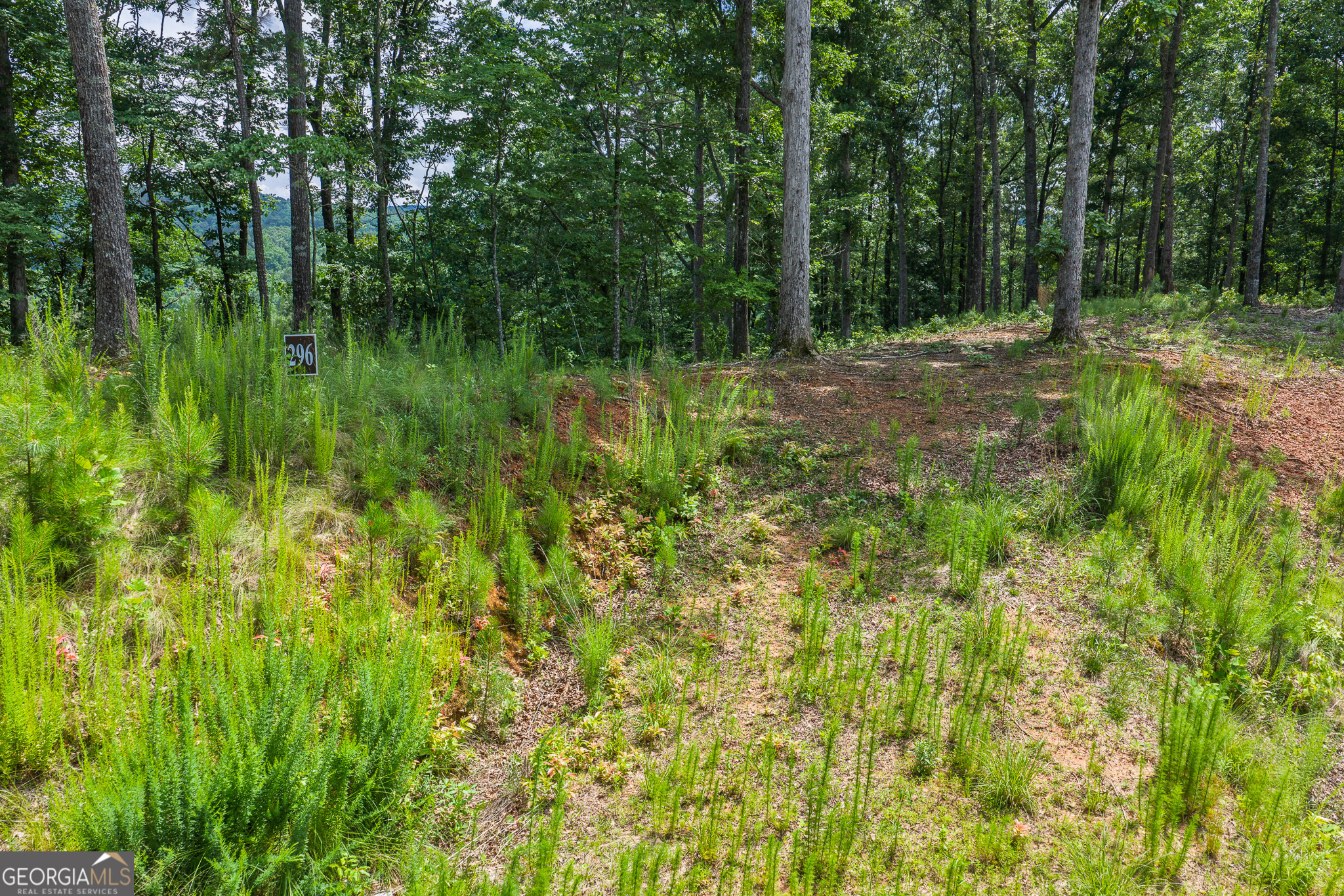Lot 296 Pebble Trace Property Photo 2