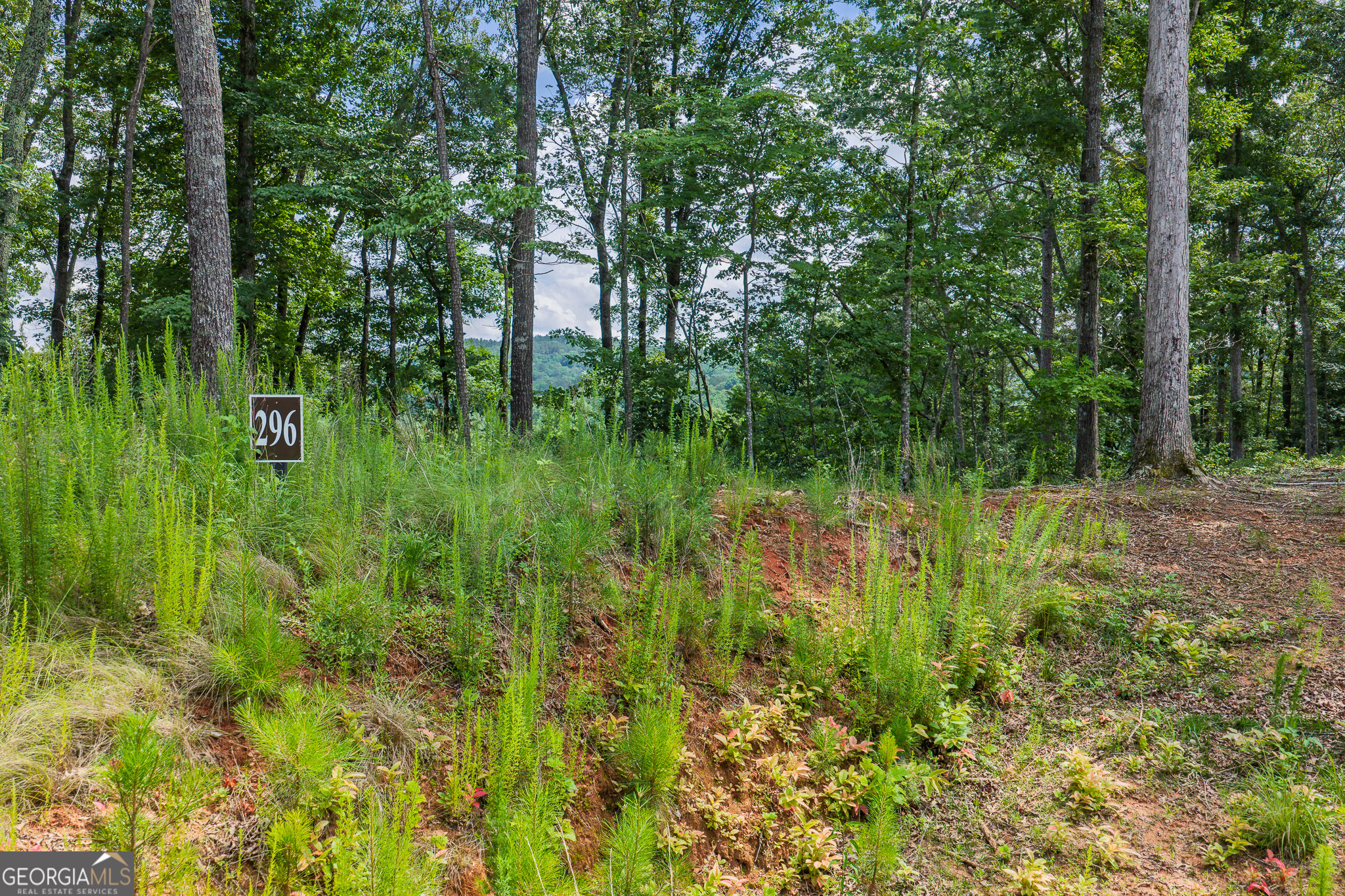 Lot 296 Pebble Trace Property Photo 3