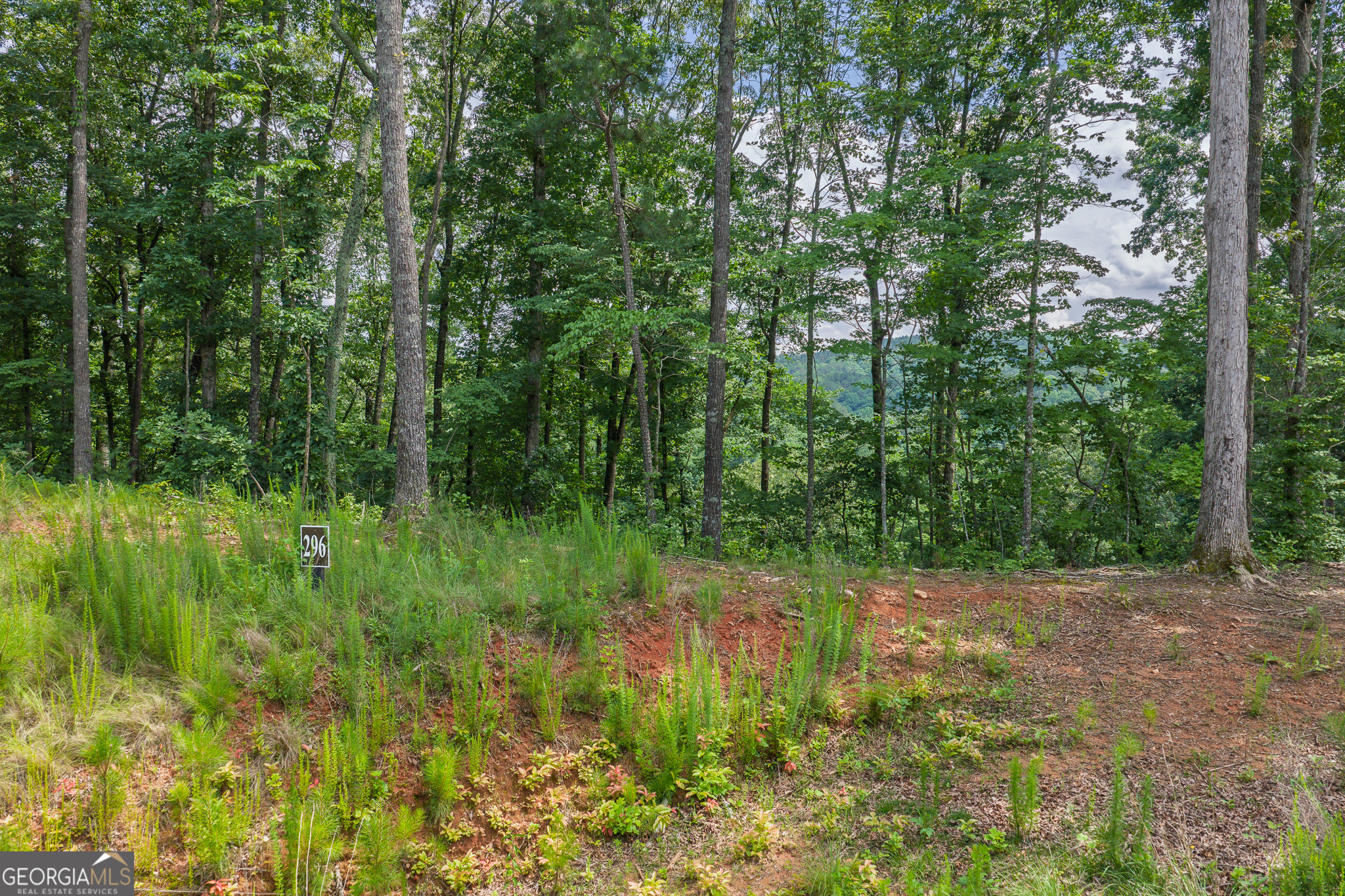 Lot 296 Pebble Trace Property Photo 4