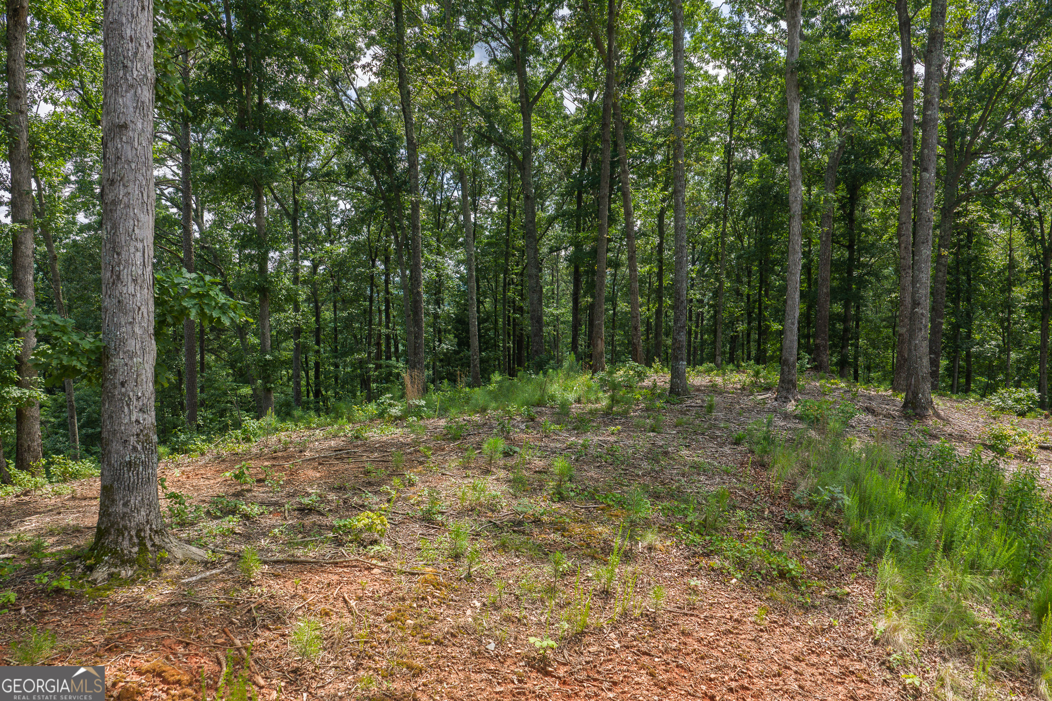 Lot 296 Pebble Trace Property Photo 5