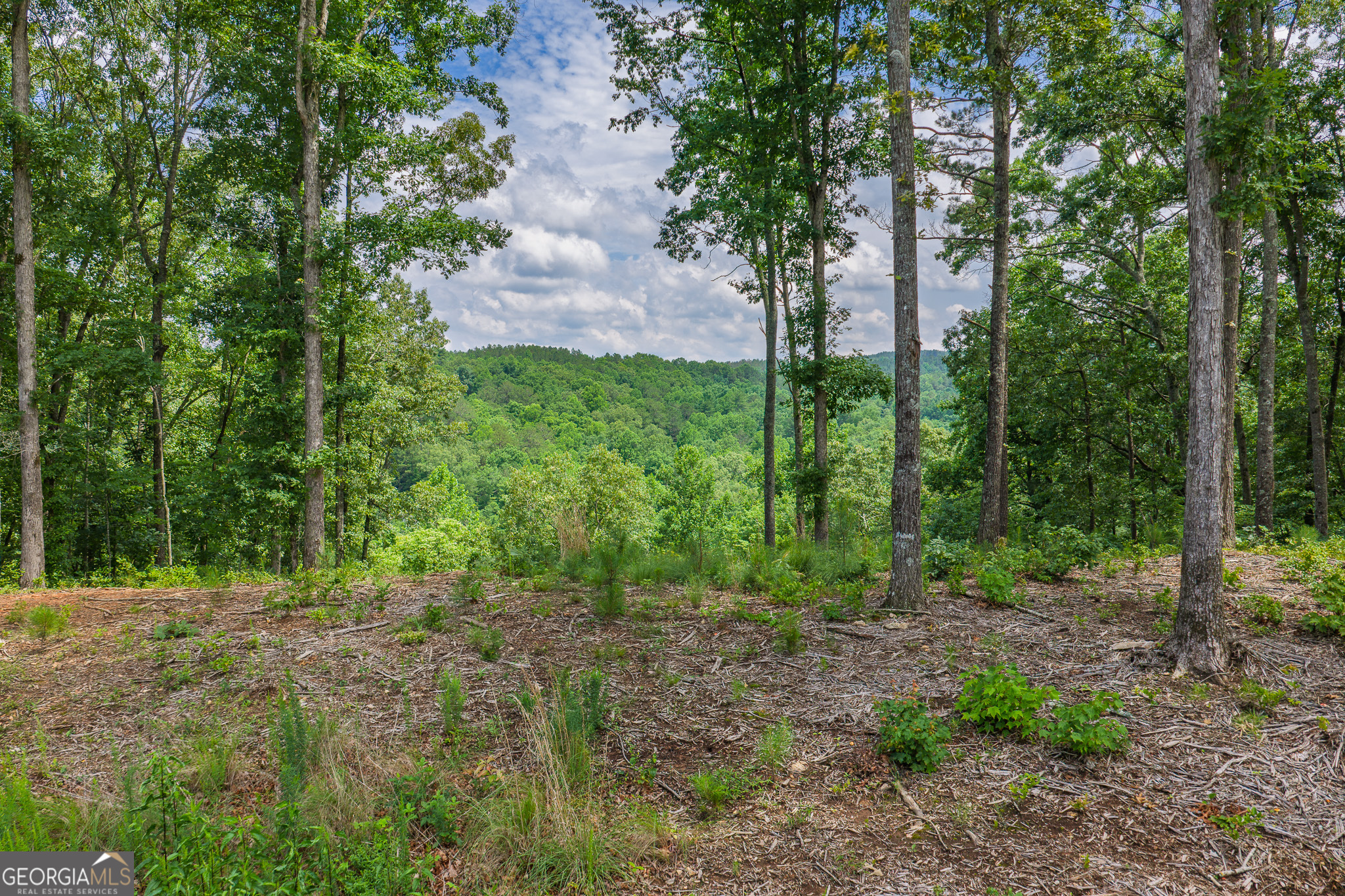 Lot 296 Pebble Trace Property Photo 6