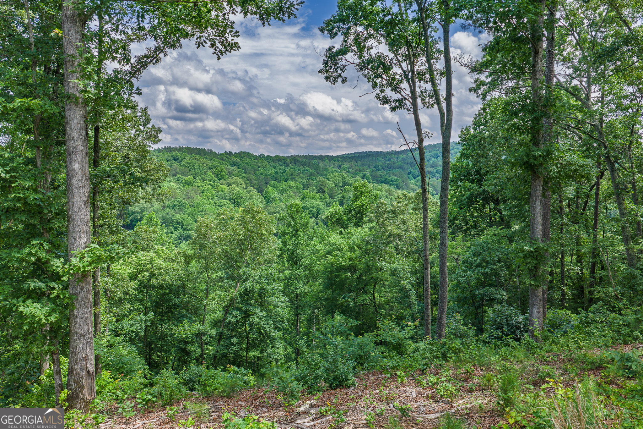 Lot 296 Pebble Trace Property Photo 7