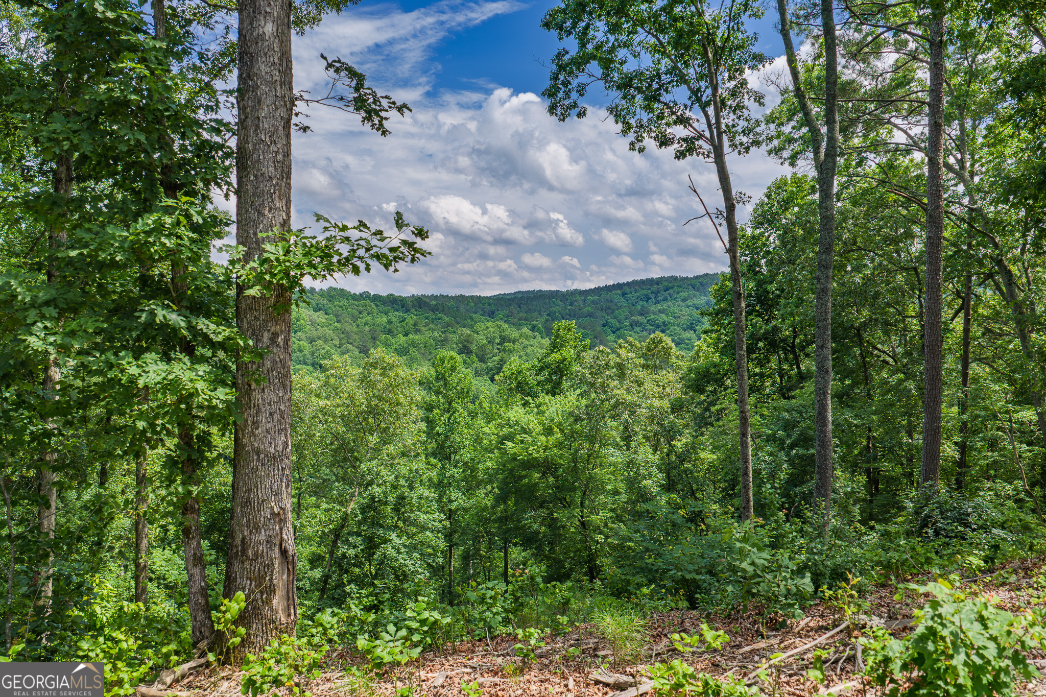 Lot 296 Pebble Trace Property Photo 8