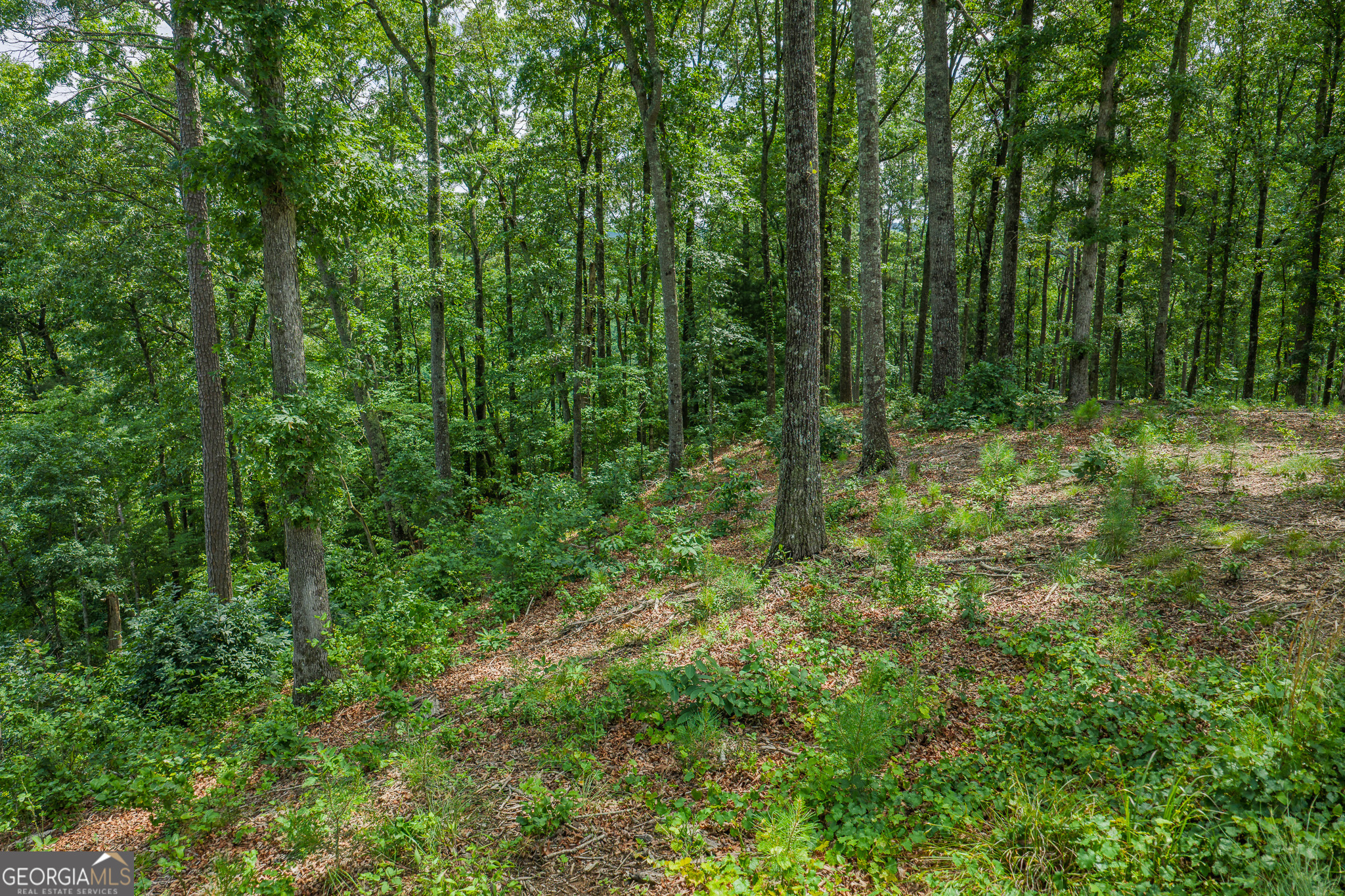 Lot 296 Pebble Trace Property Photo 9