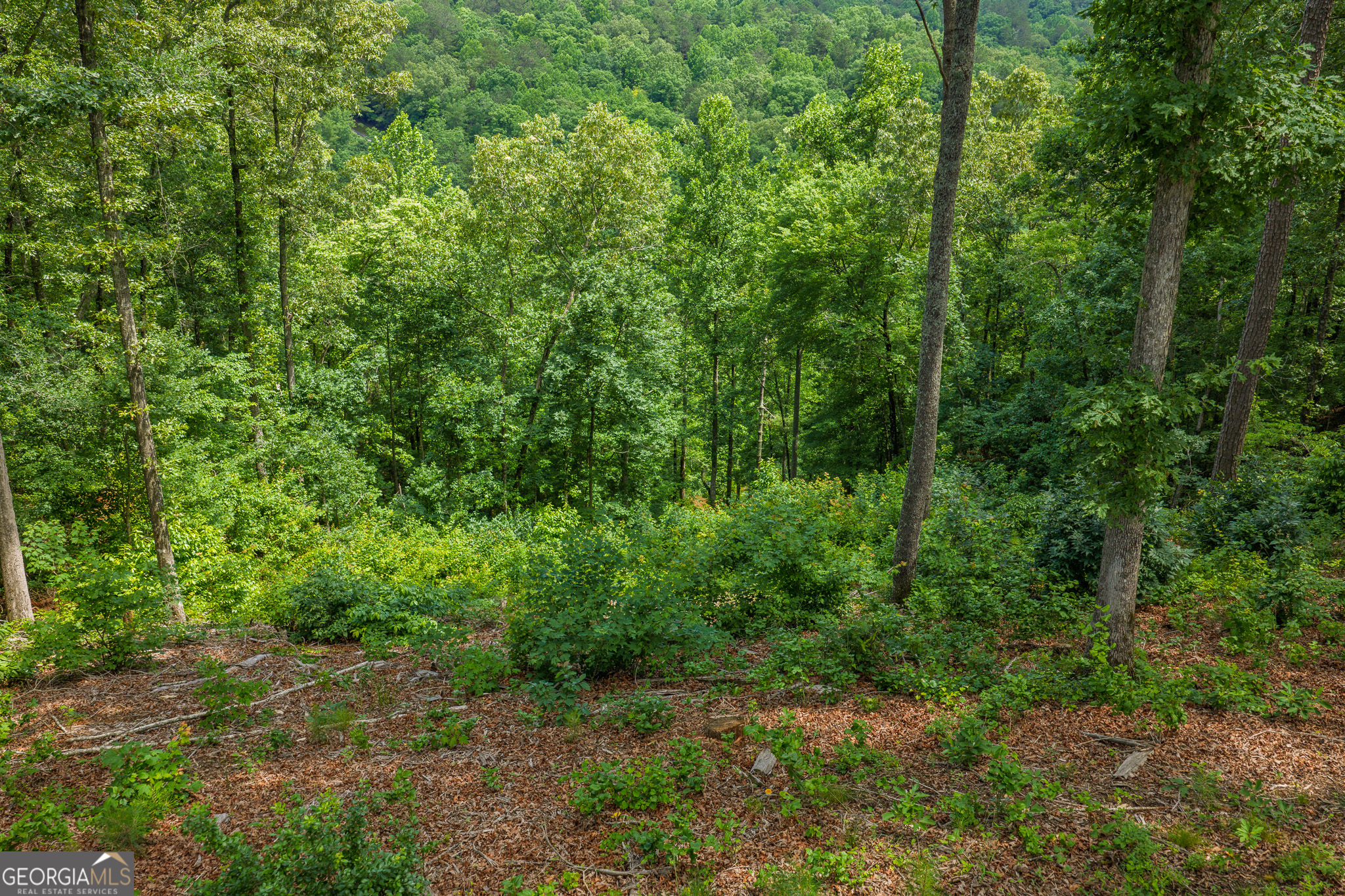 Lot 296 Pebble Trace Property Photo 10