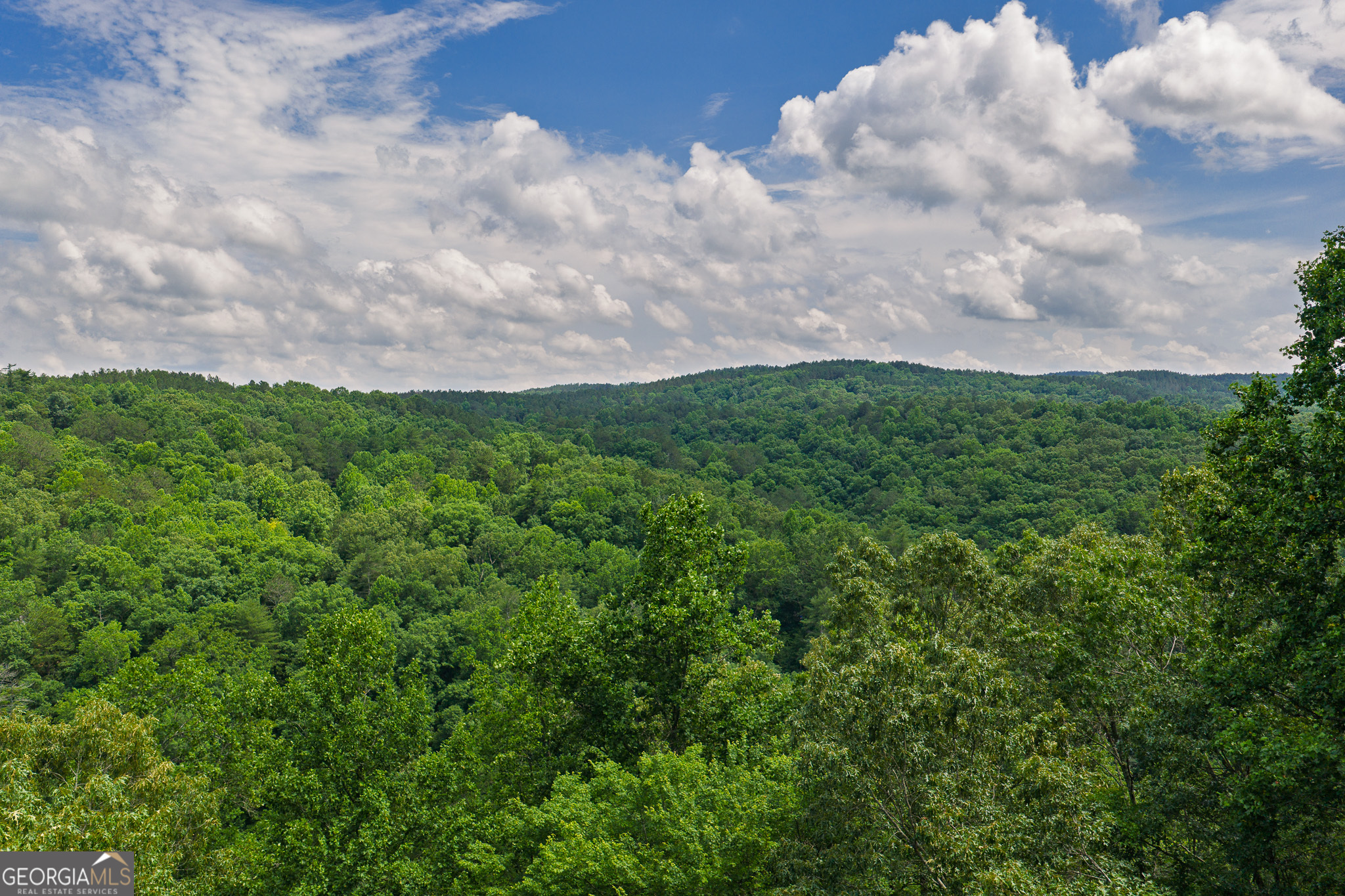 Lot 296 Pebble Trace Property Photo 11
