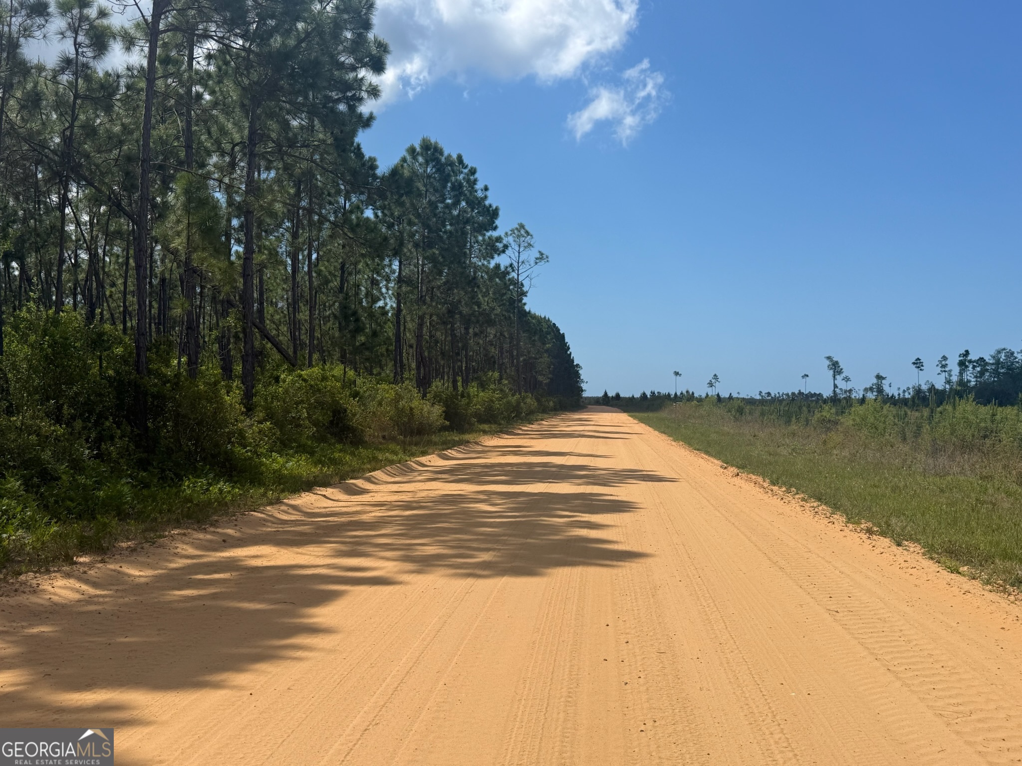 10.5 Acres Allanton Road Property Photo 13