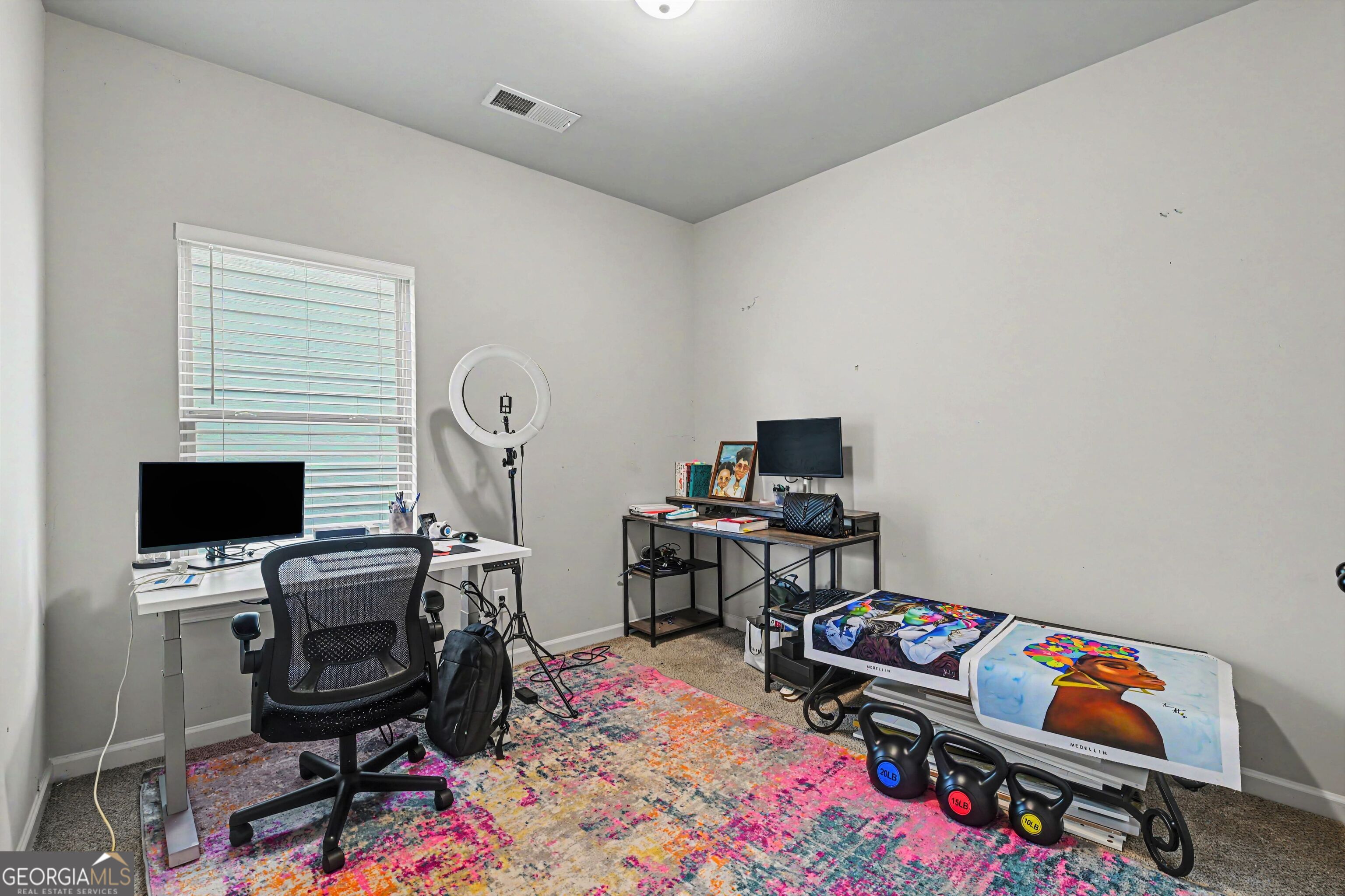11703 Brightside Parkway Property Photo 27