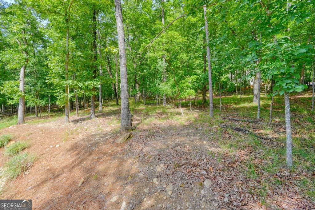 110 Cherry Court Property Photo 45