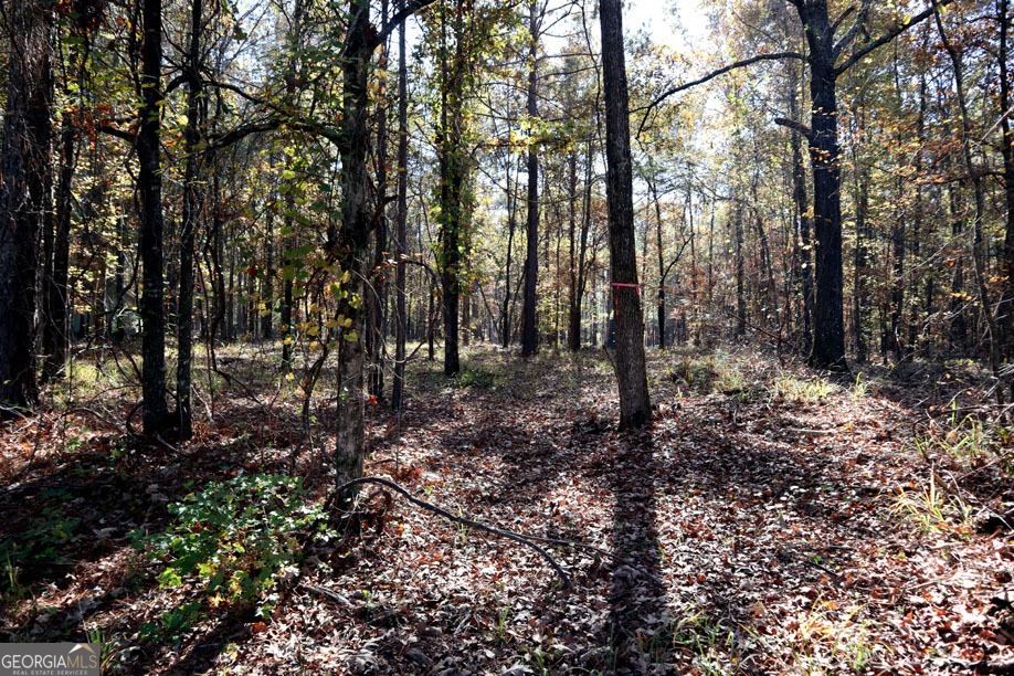 1438 Jamesway Drive Property Photo 4
