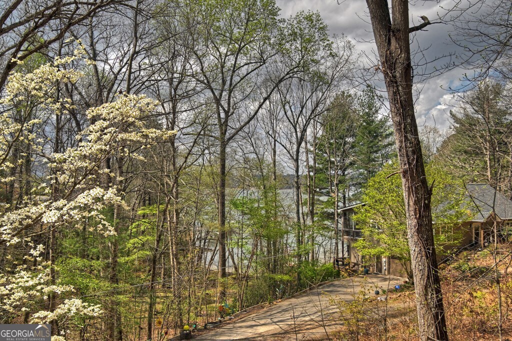 32 Lake Front Drive Property Photo 27