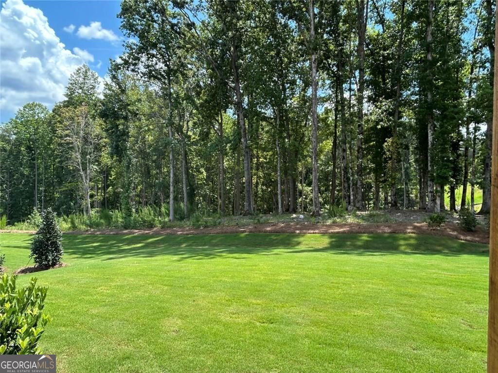 1618 Ahaluna Drive Property Photo 20