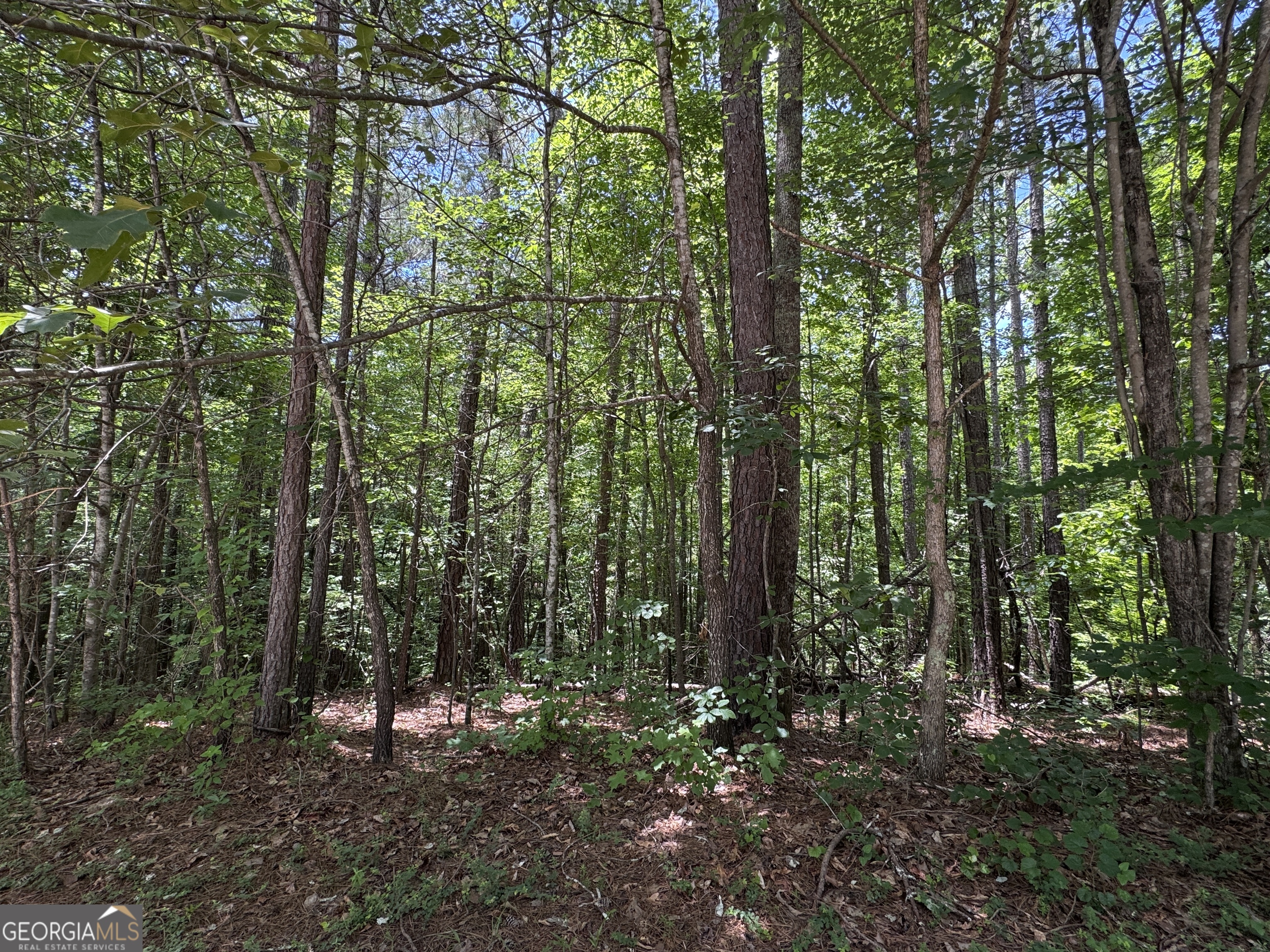 201 Stonebridge Boulevard Property Photo 2