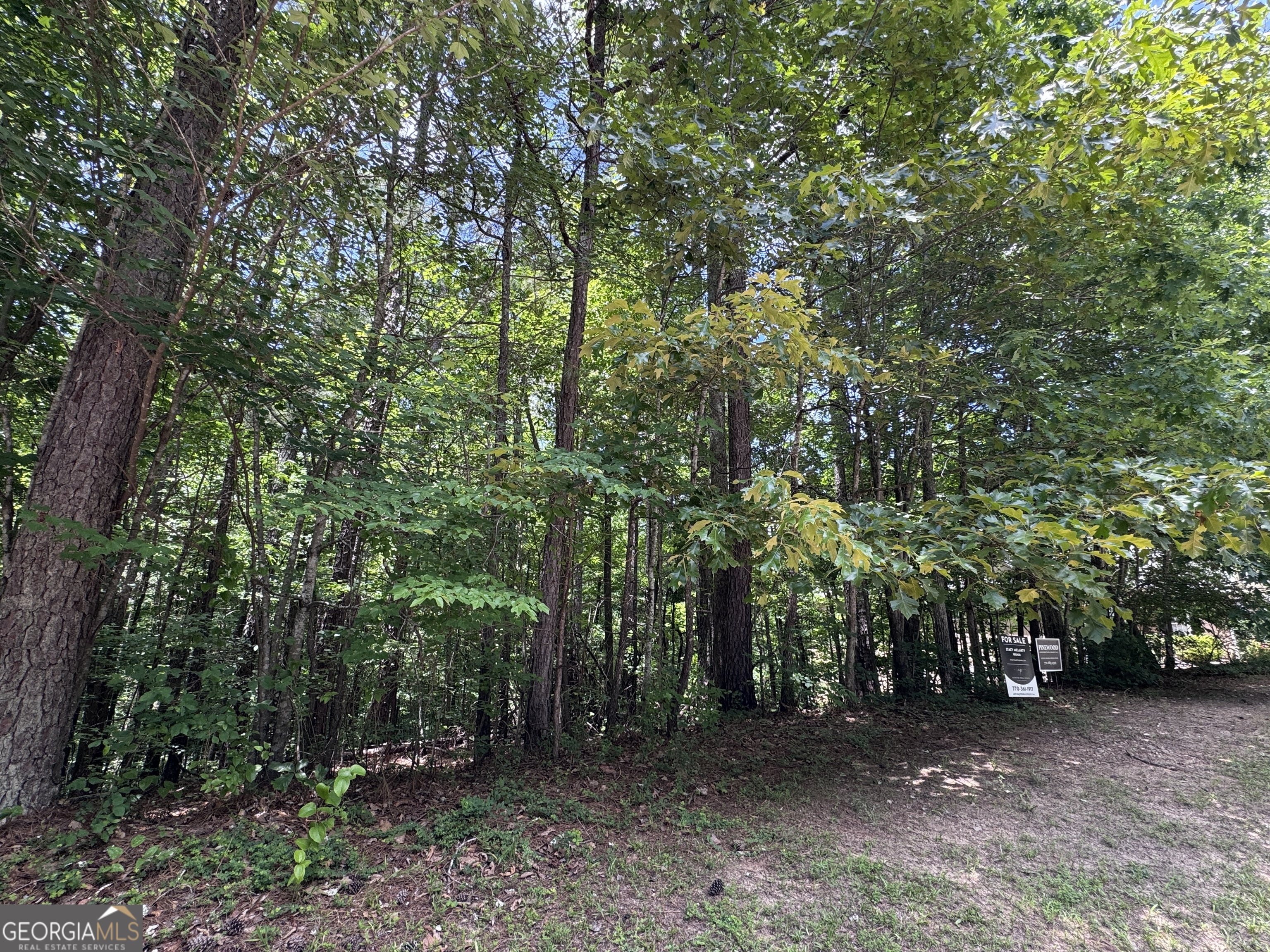 201 Stonebridge Boulevard Property Photo 3