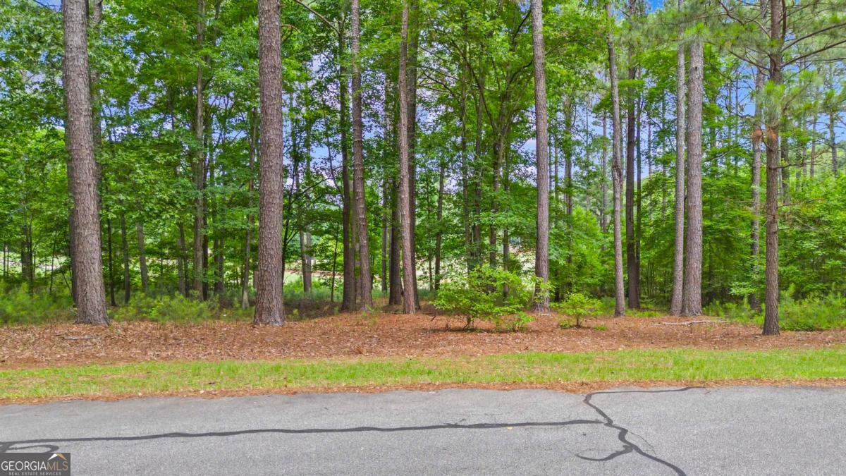 144 Hopeton Lane Property Photo 14