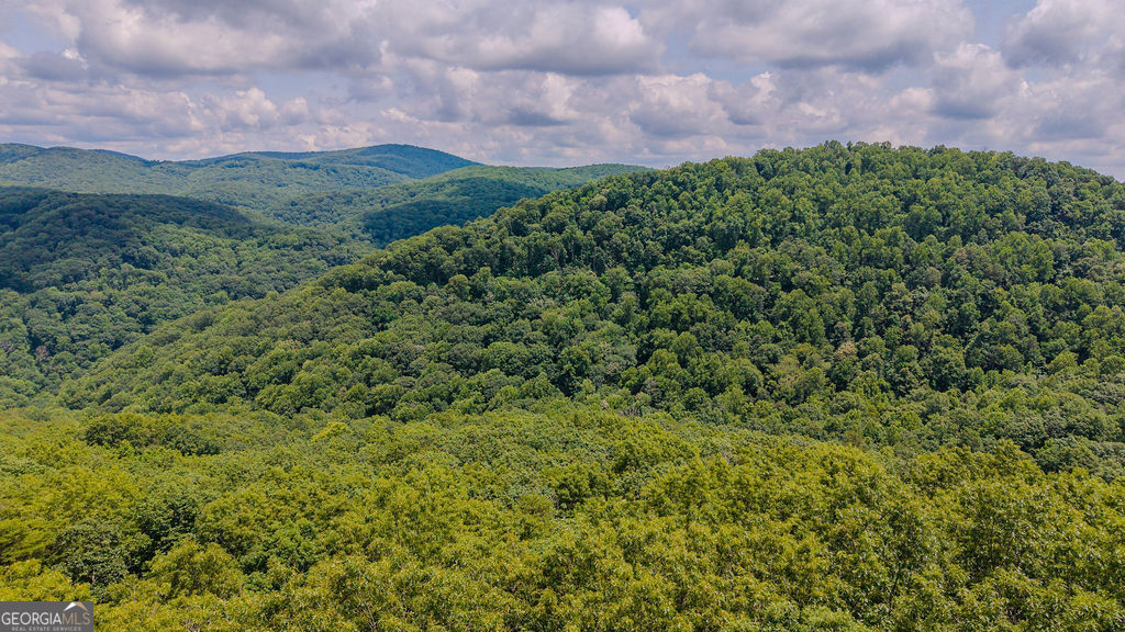 274 Andes Ridge Property Photo 4