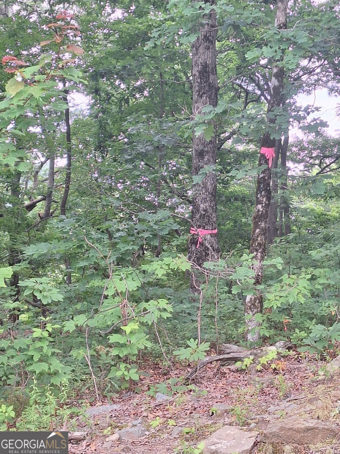 274 Andes Ridge Property Photo 9