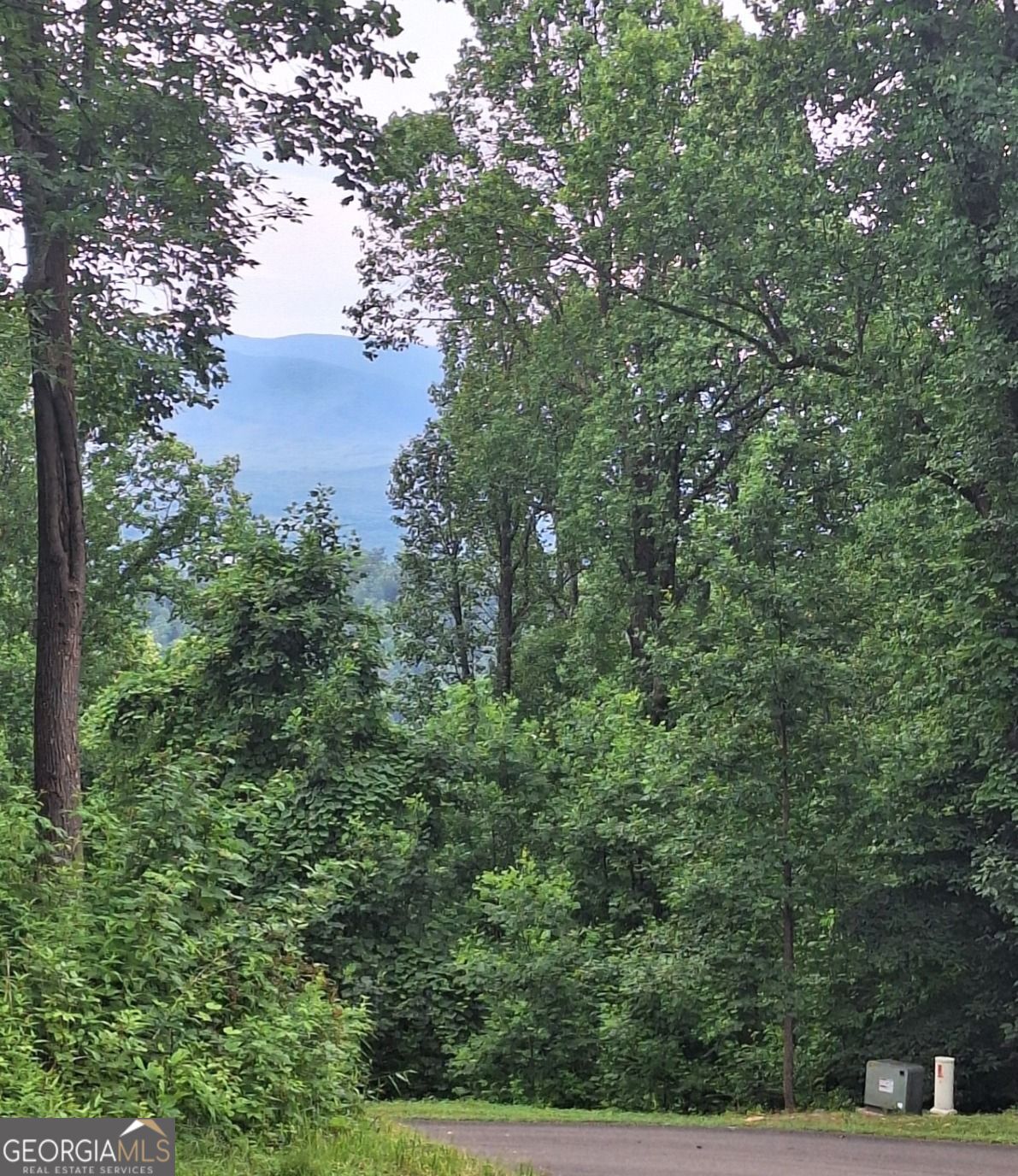 274 Andes Ridge Property Photo 10