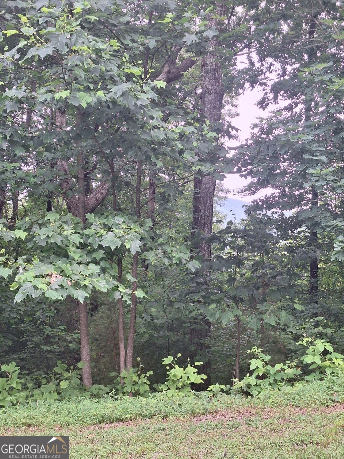 274 Andes Ridge Property Photo 11
