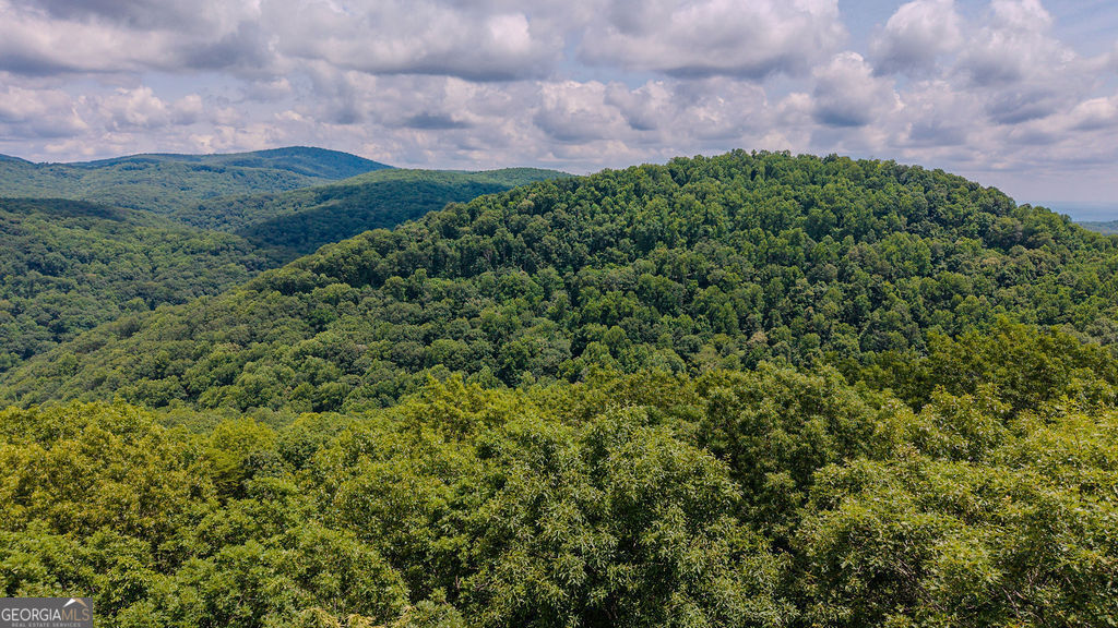 274 Andes Ridge Property Photo 21