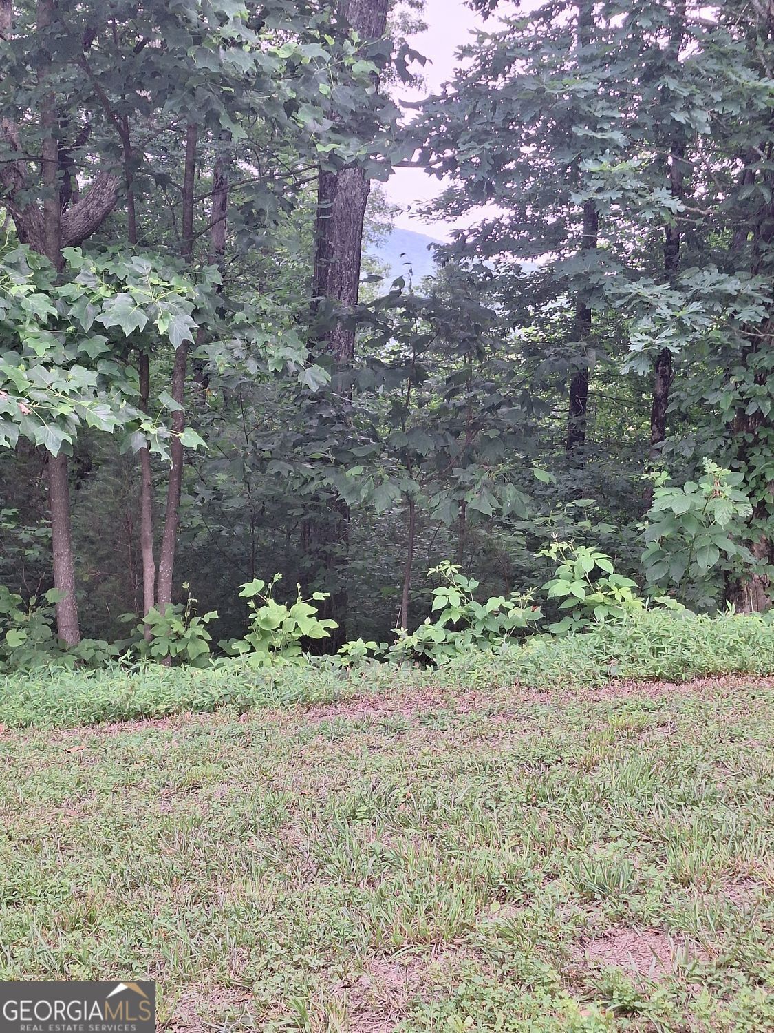 274 Andes Ridge Property Photo 24