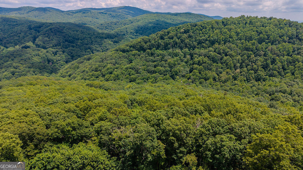274 Andes Ridge Property Photo 25