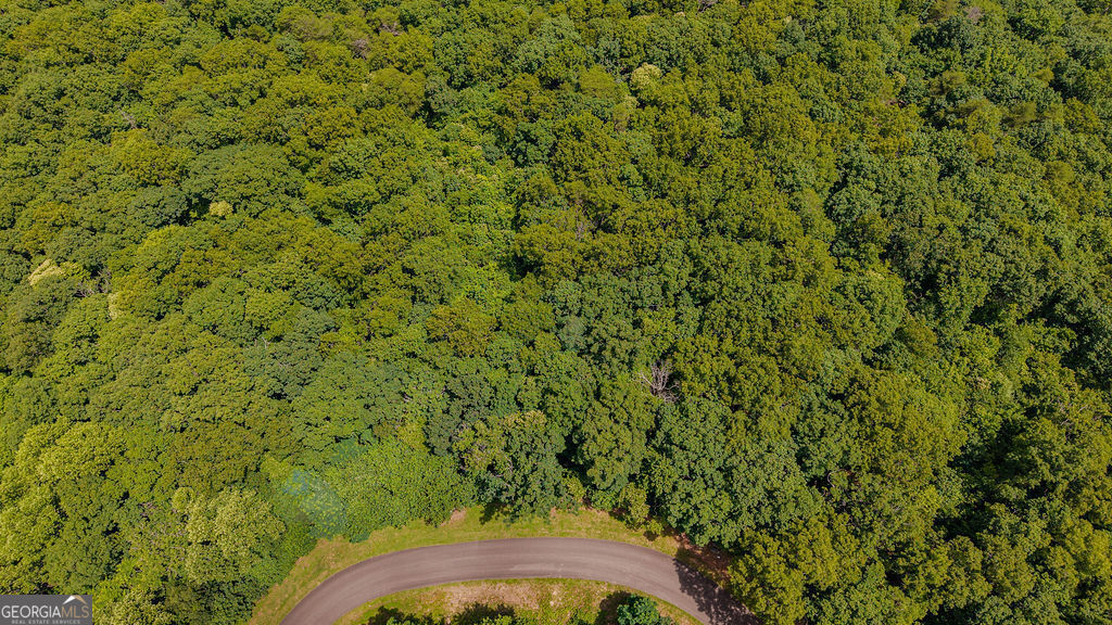 274 Andes Ridge Property Photo 26