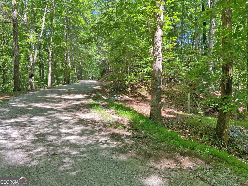 2.4ac Old River Road Property Photo 2
