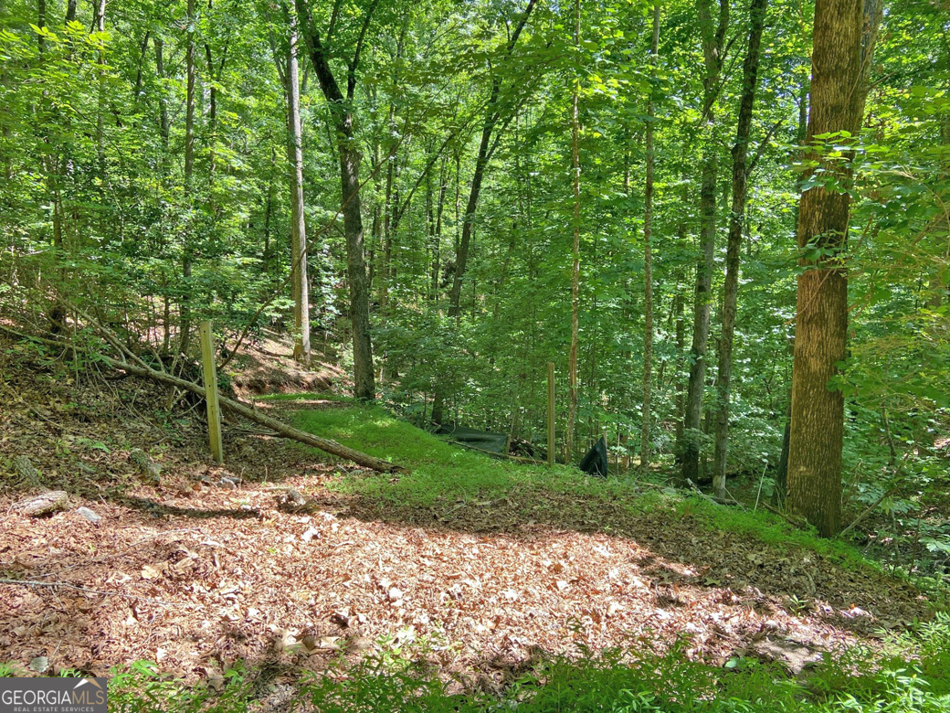 2.4ac Old River Road Property Photo 3