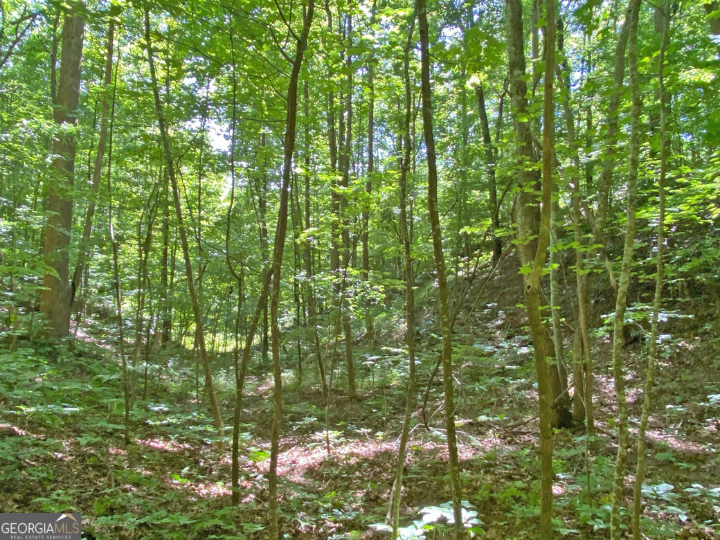 2.4ac Old River Road Property Photo 4
