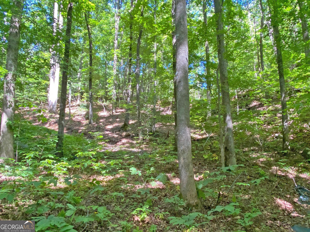 2.4ac Old River Road Property Photo 5
