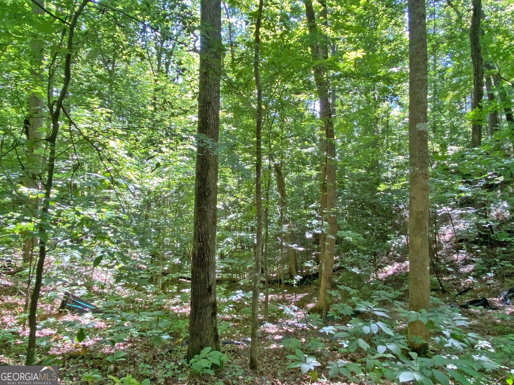 2.4ac Old River Road Property Photo 6