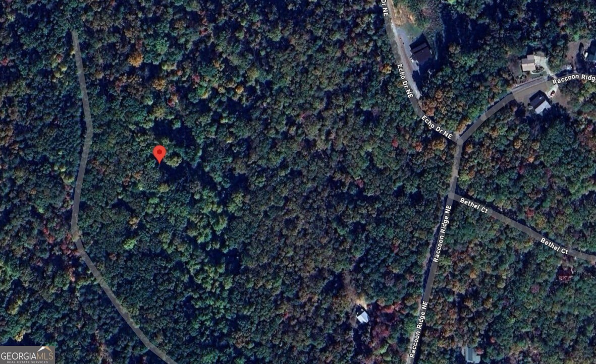 1009 N Cut Drive Property Photo 1