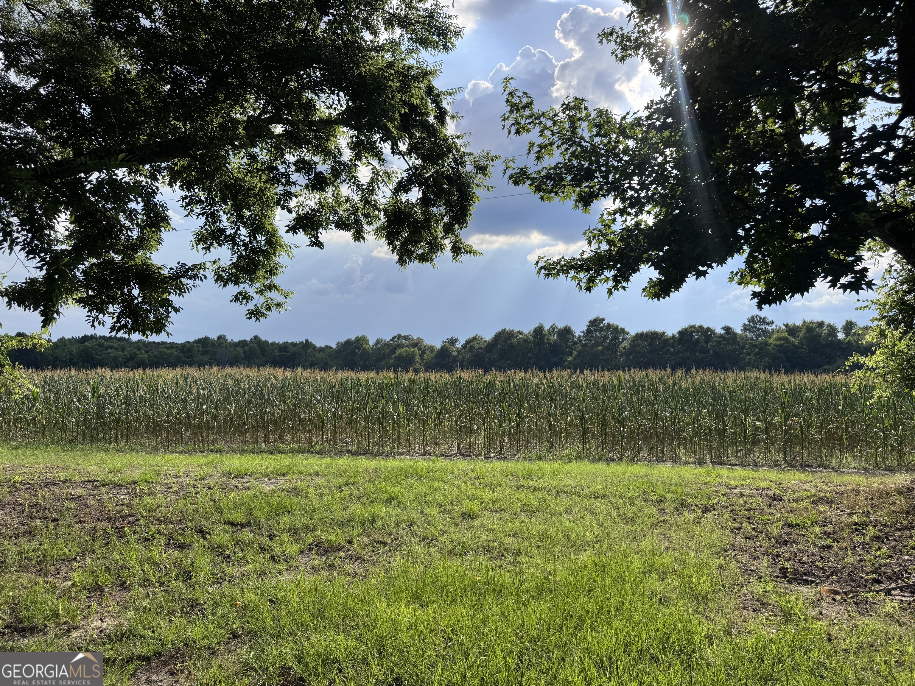 1665 Walke Dairy Road Property Photo 10