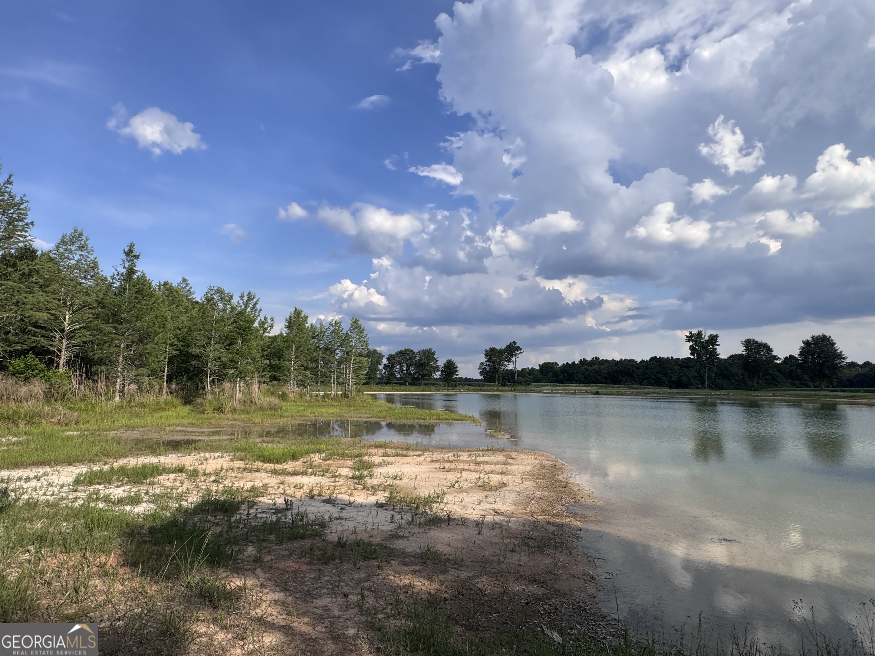 1665 Walke Dairy Road Property Photo 12
