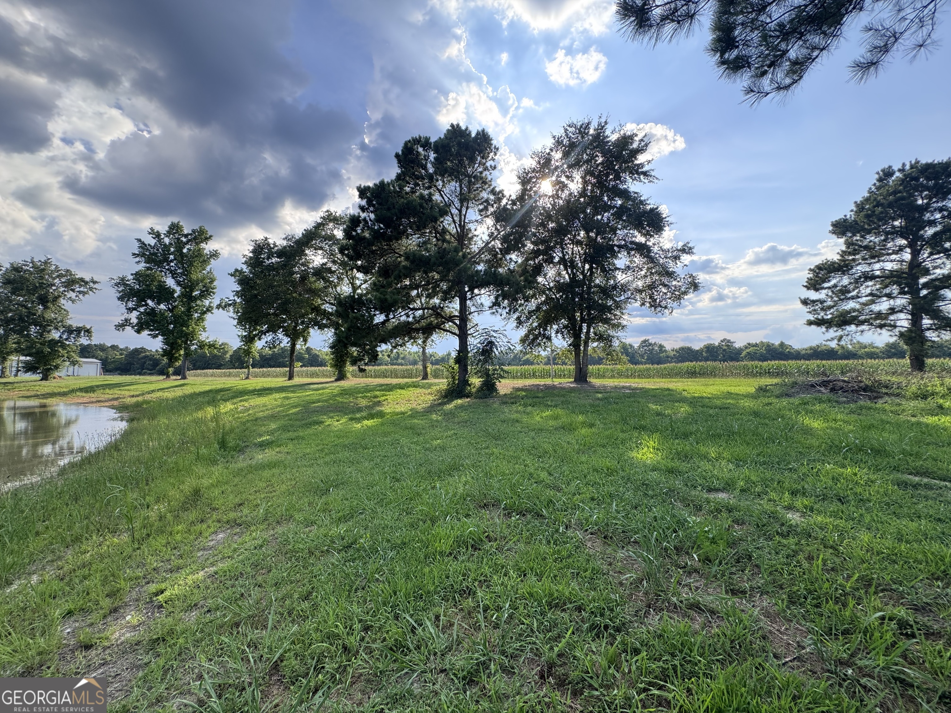 1665 Walke Dairy Road Property Photo 14