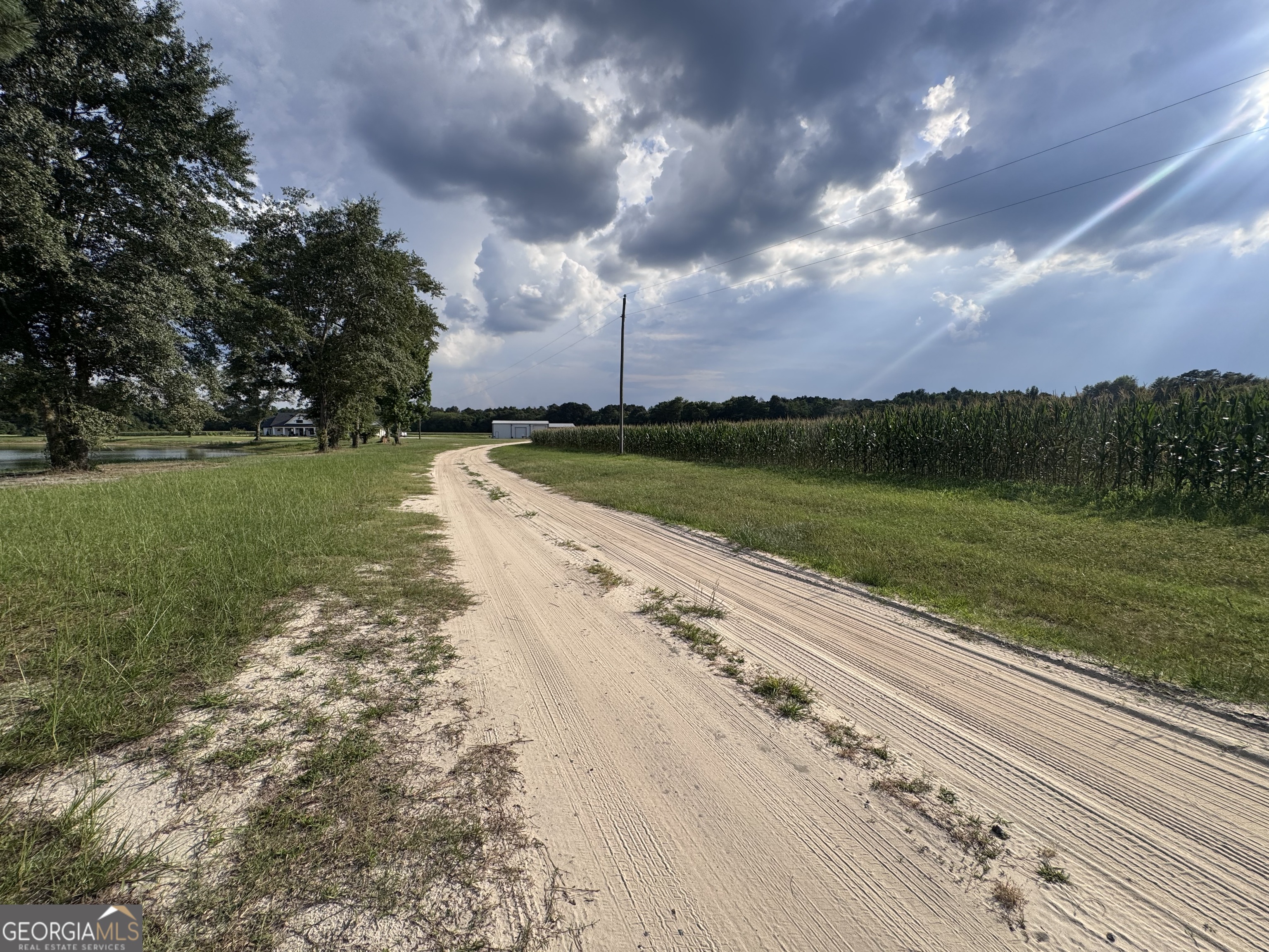 1665 Walke Dairy Road Property Photo 15