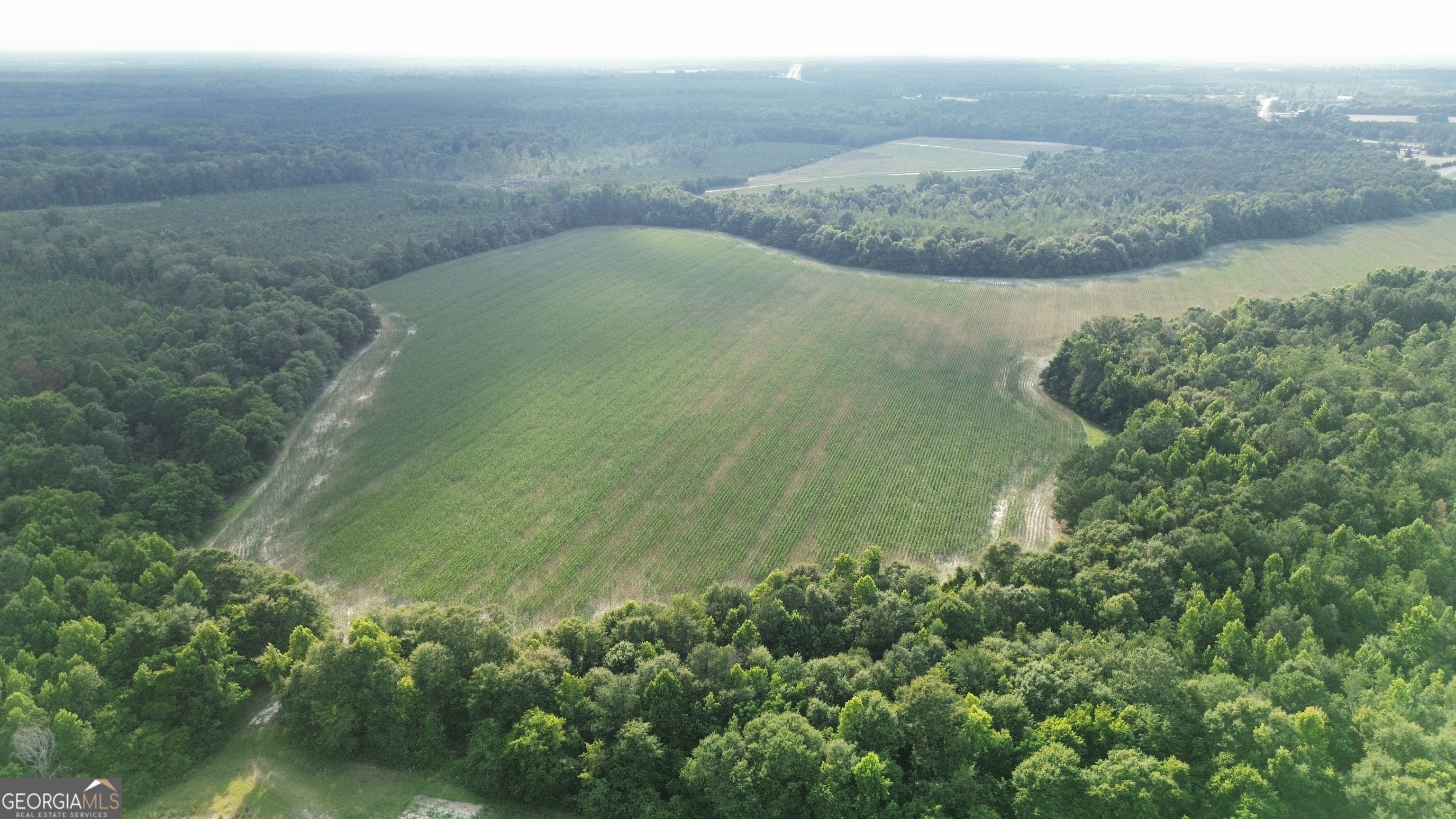 1665 Walke Dairy Road Property Photo 19