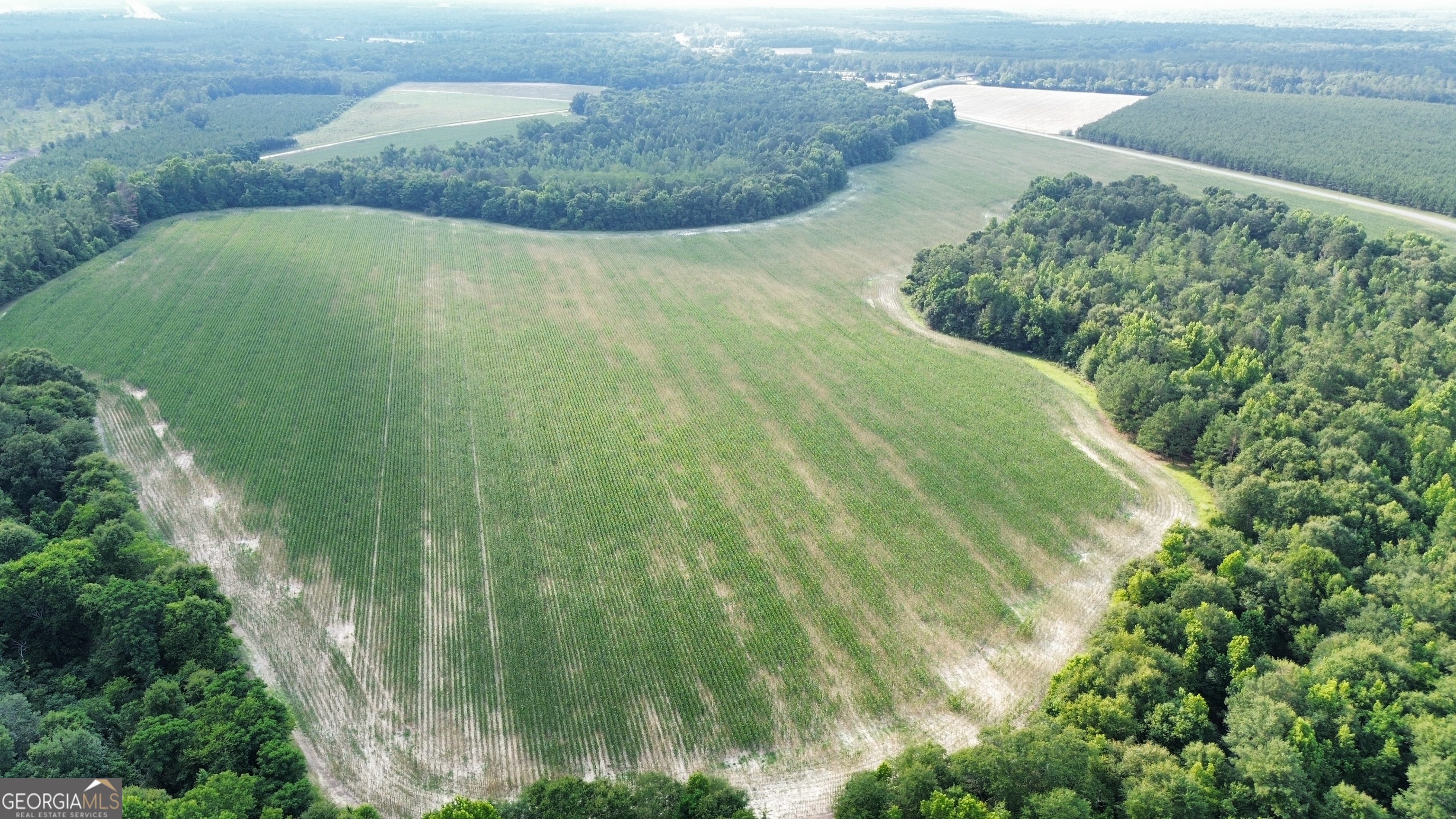 1665 Walke Dairy Road Property Photo 20