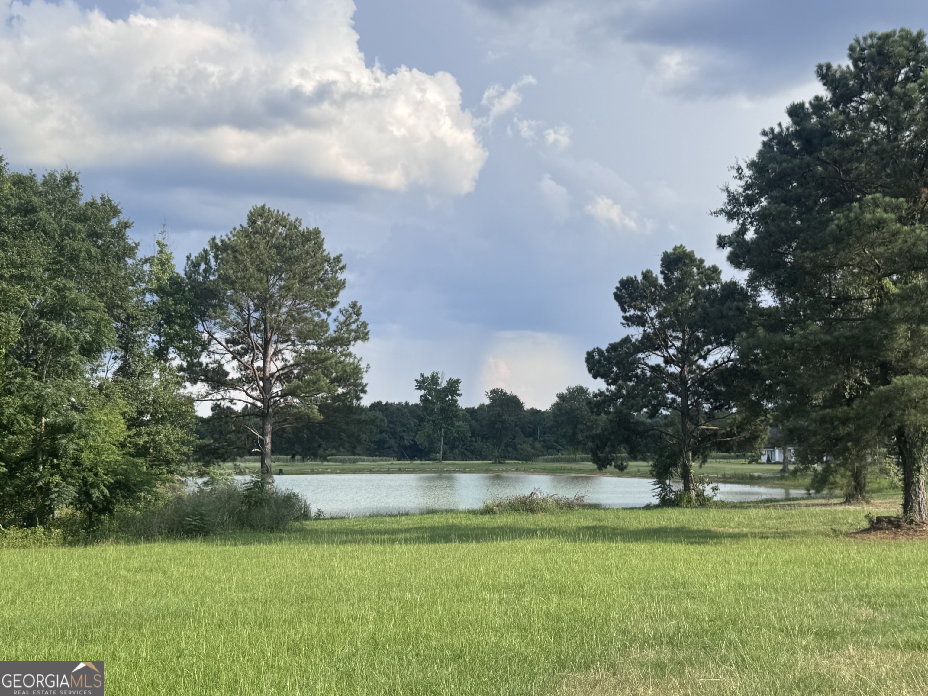 1665 Walke Dairy Road Property Photo 21