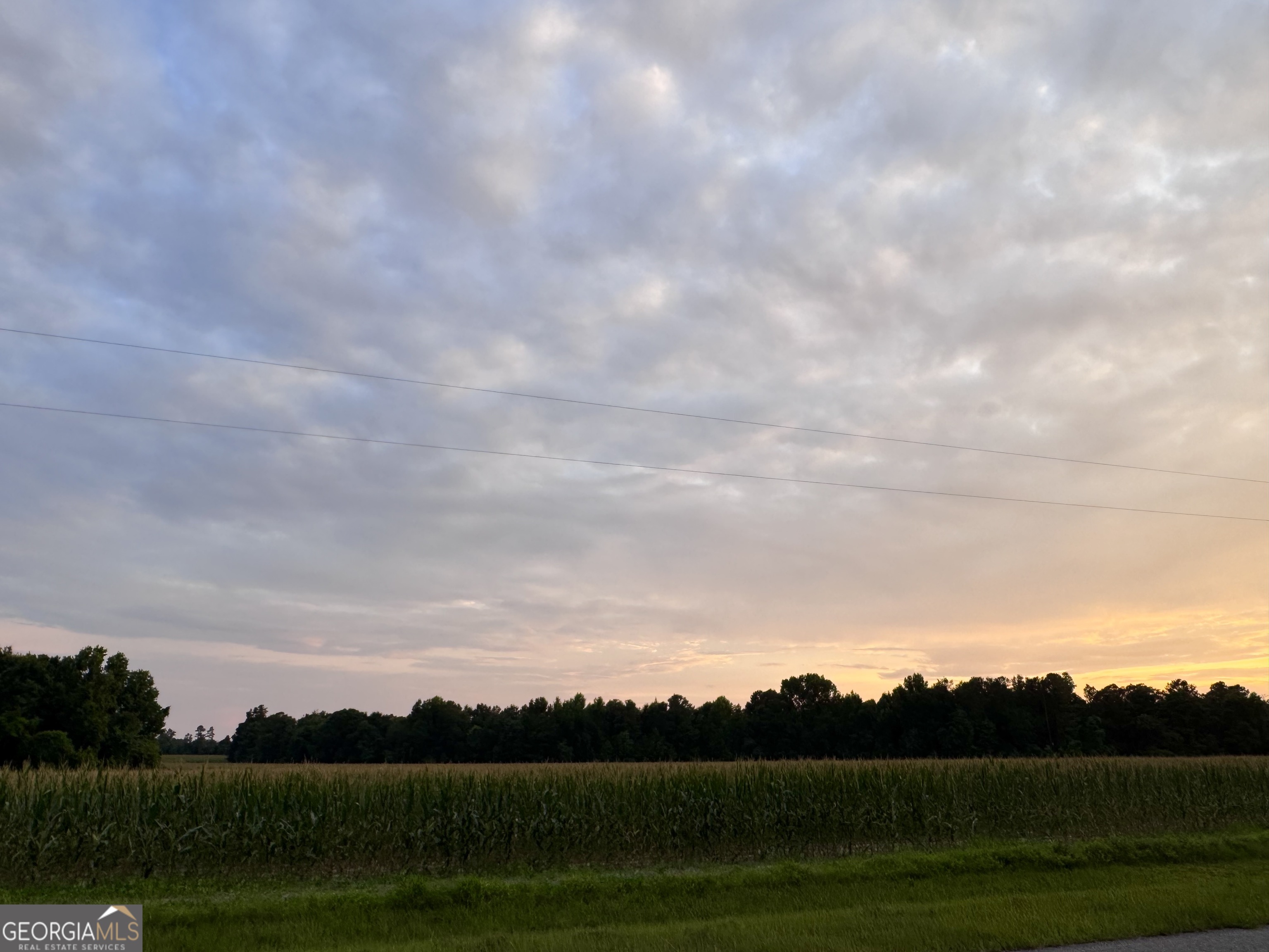 1665 Walke Dairy Road Property Photo 24